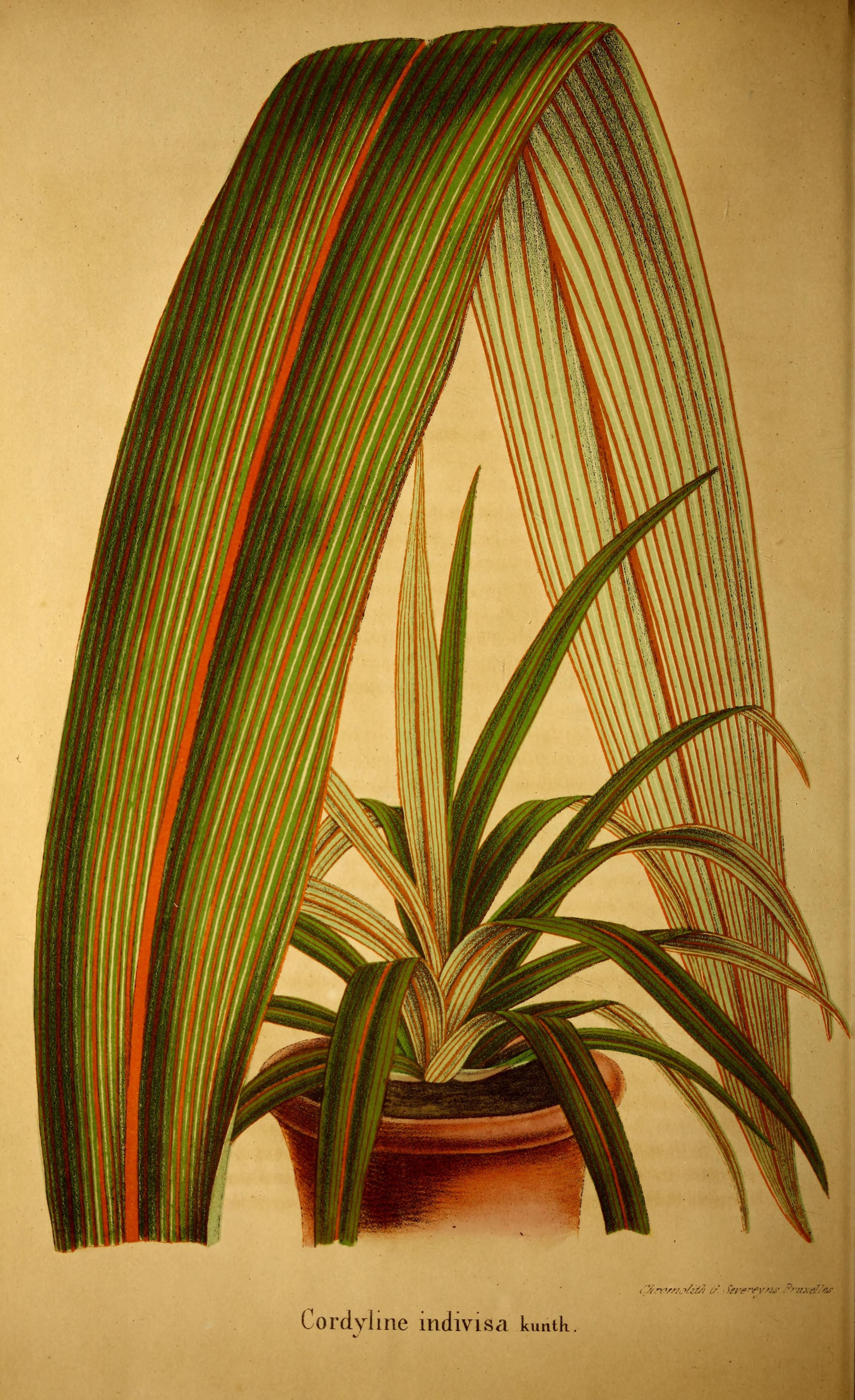 no full size  illustration available (3a)