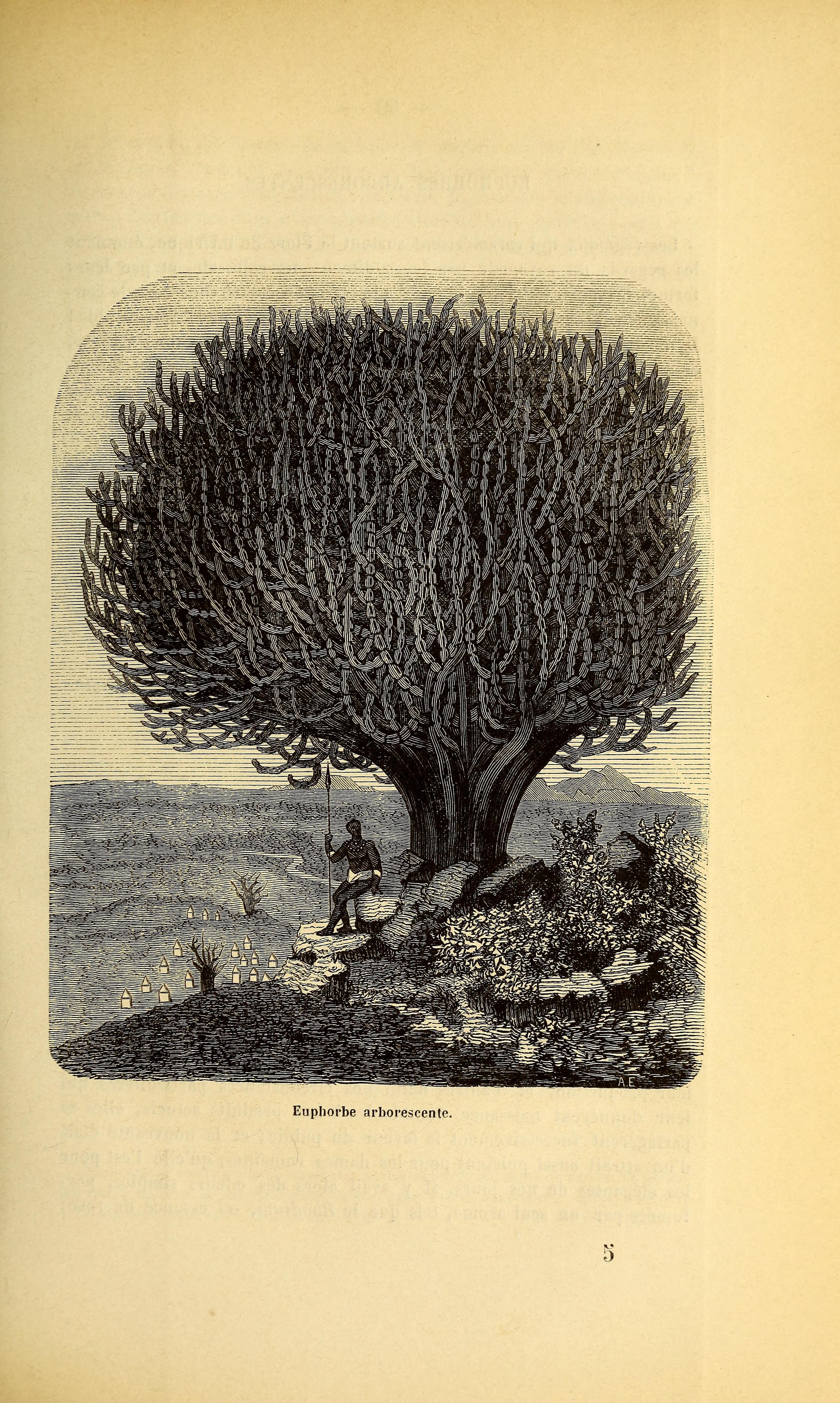 no full size  illustration available (3a)