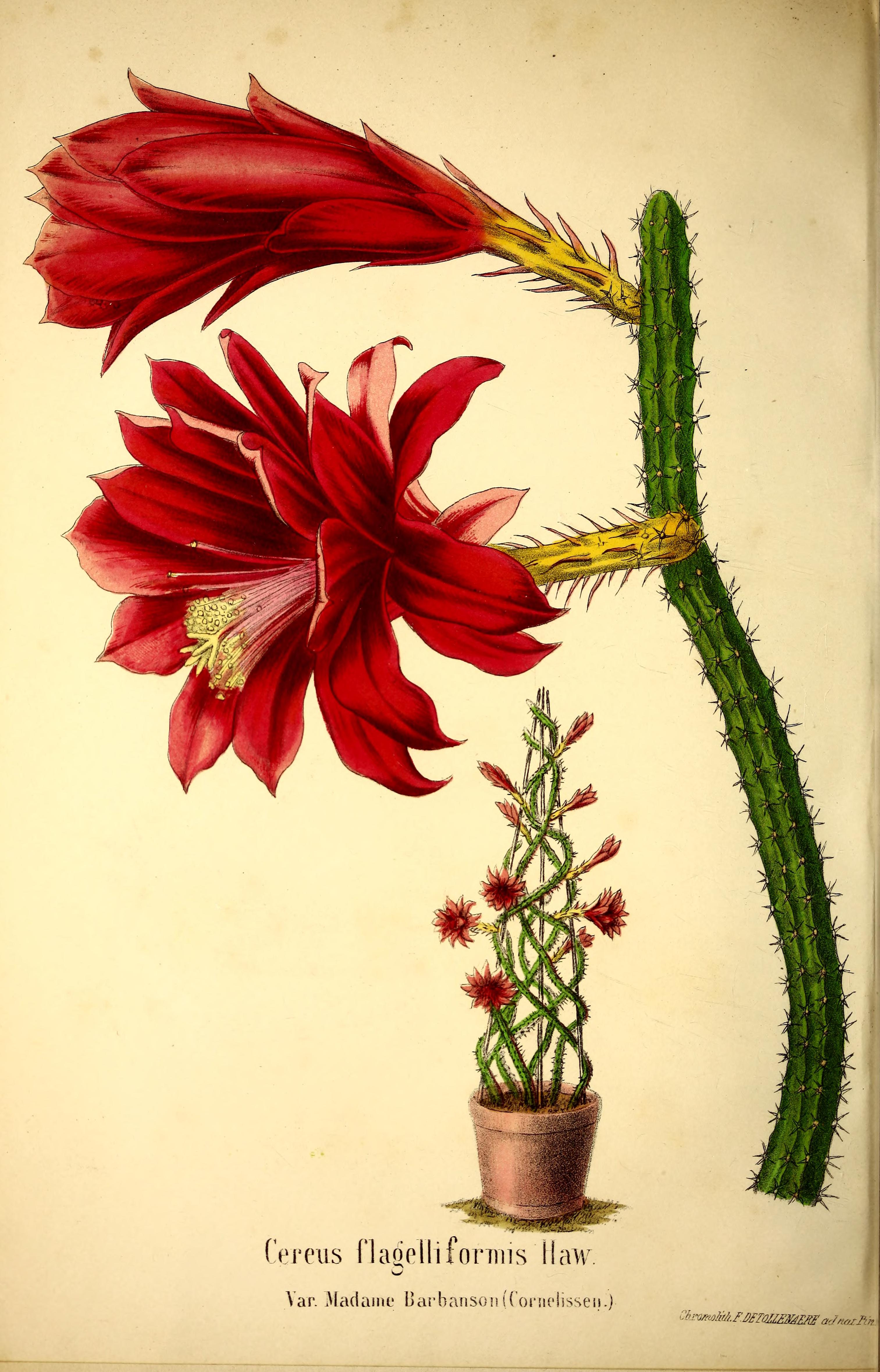 no full size  illustration available (3a)