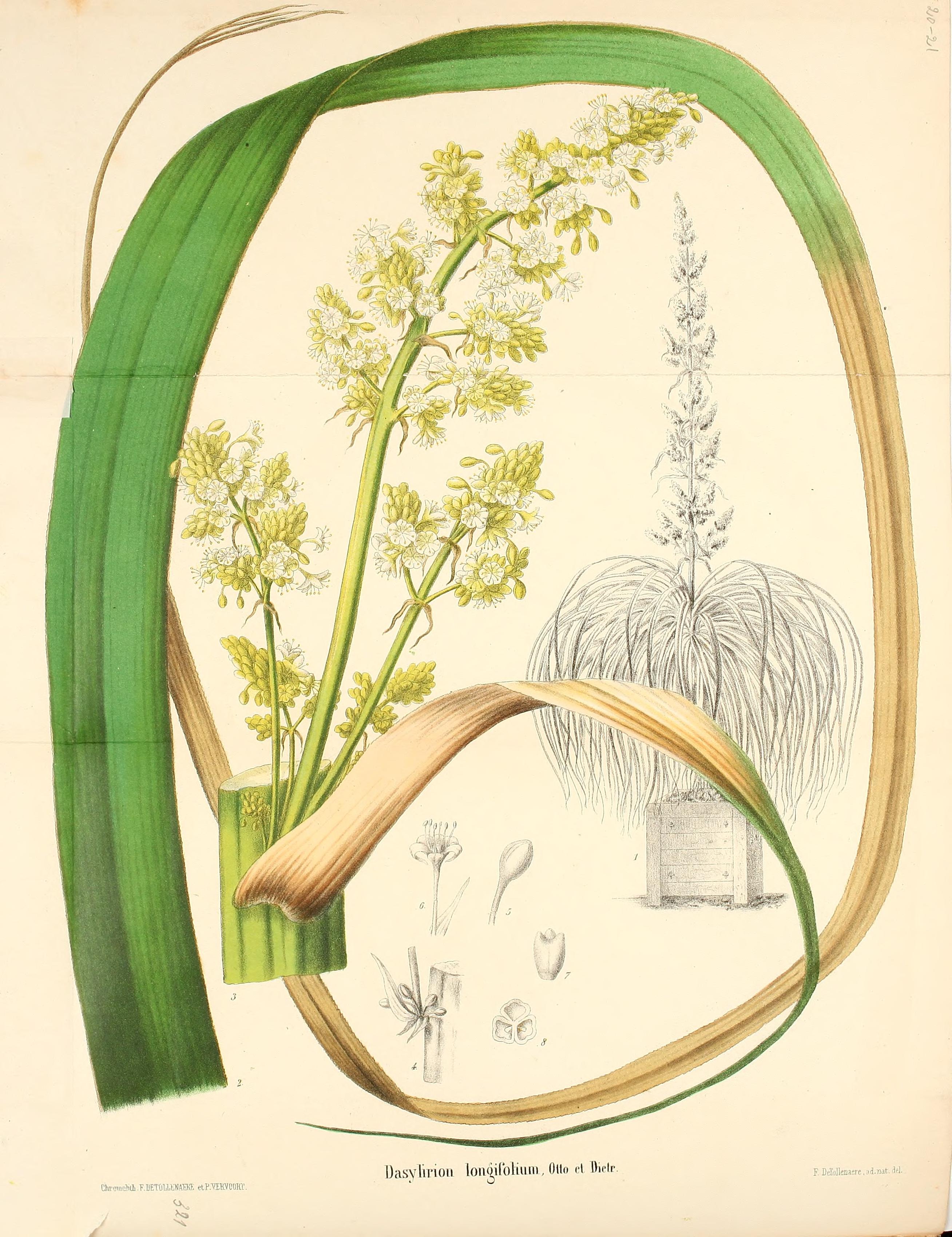 no full size  illustration available (3a)