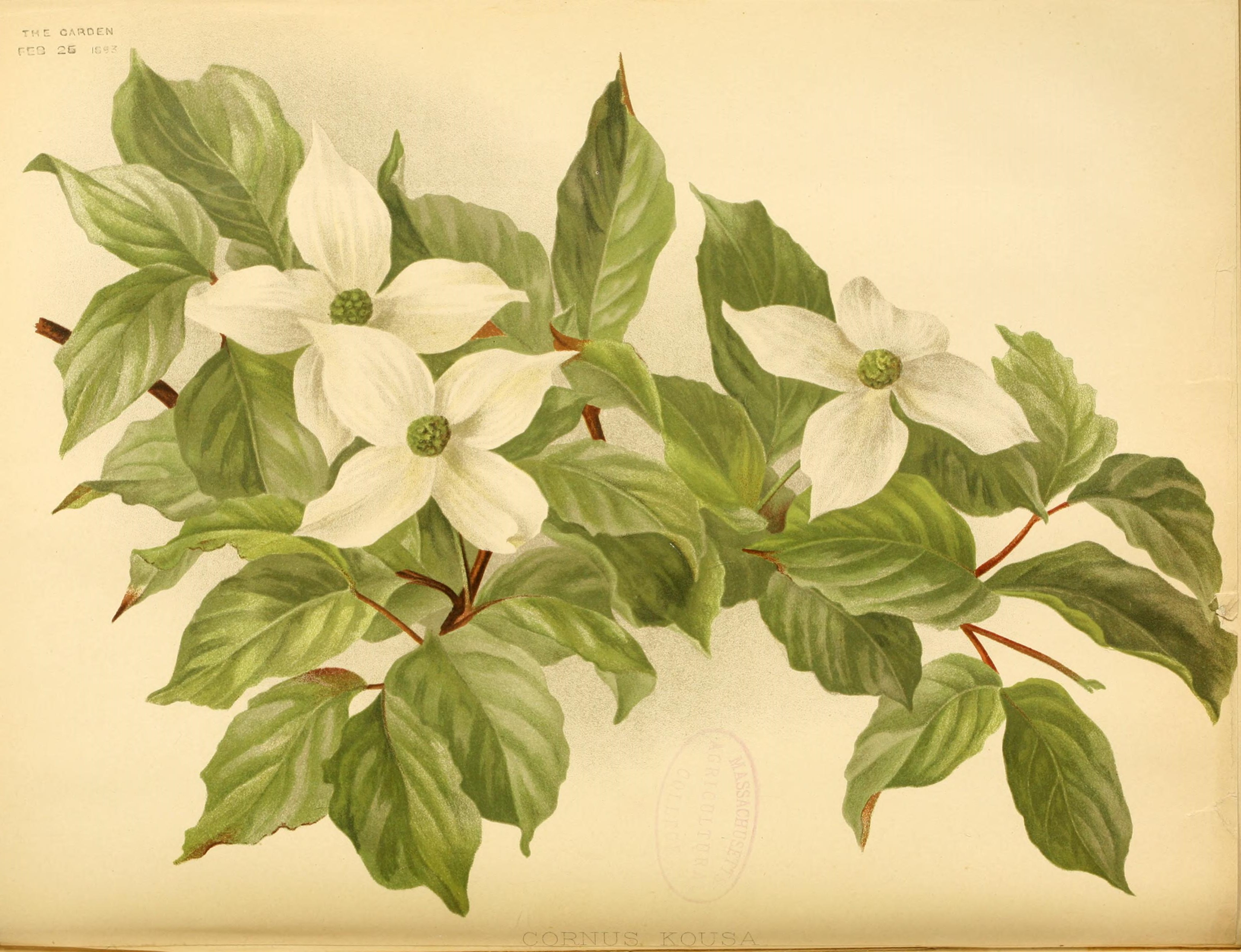 no full size  illustration available (3a)