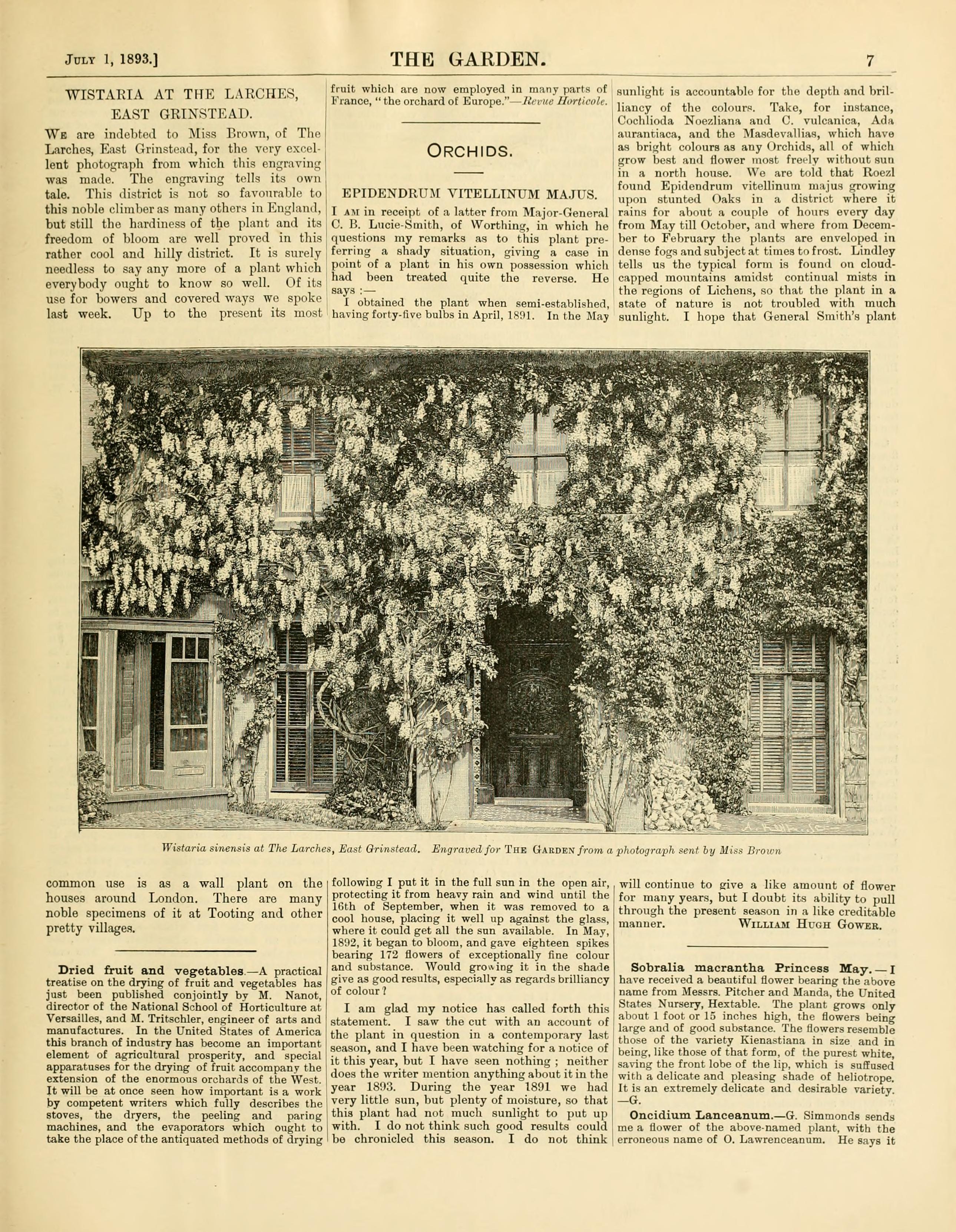 no full size  illustration available (3a)