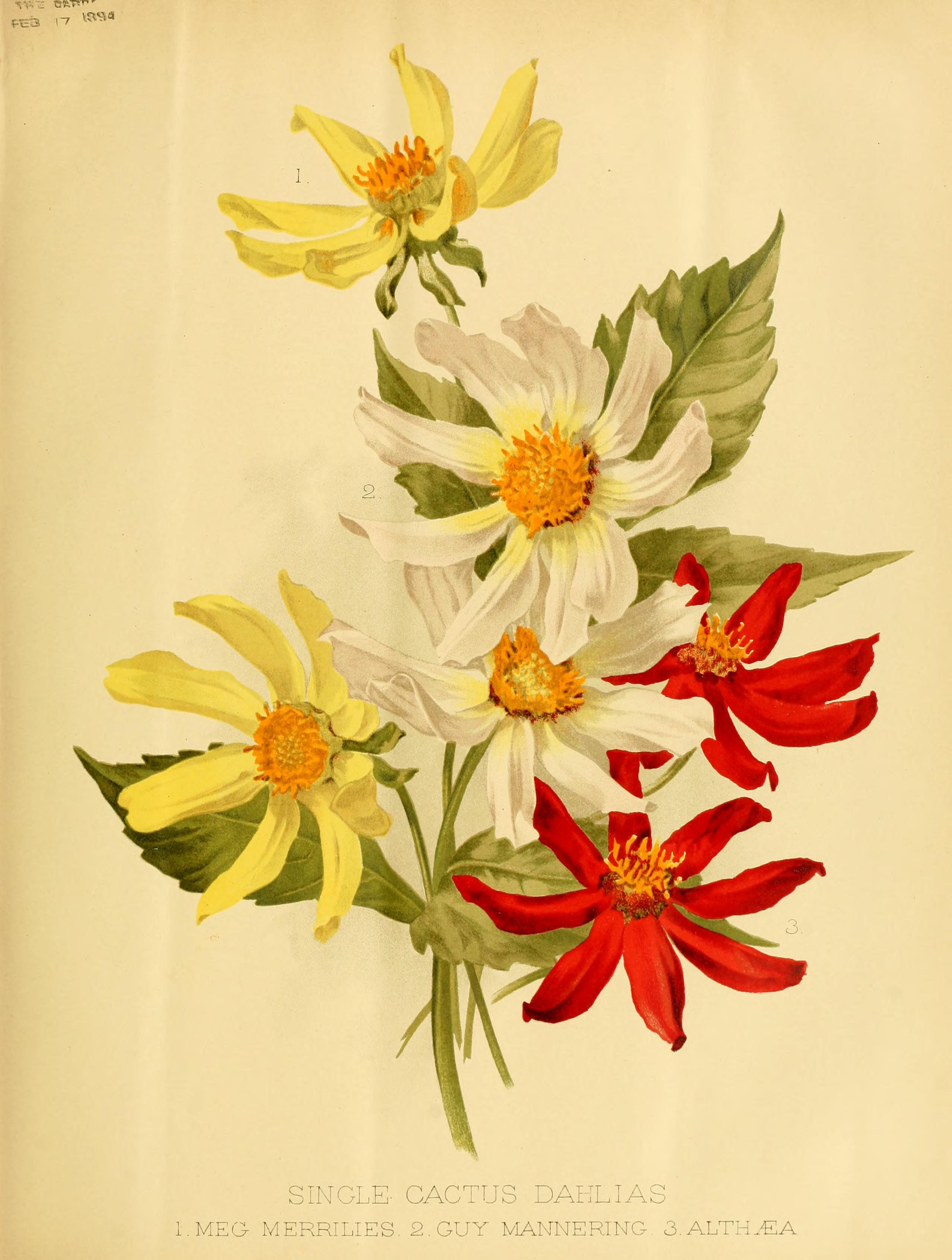 no full size  illustration available (3a)