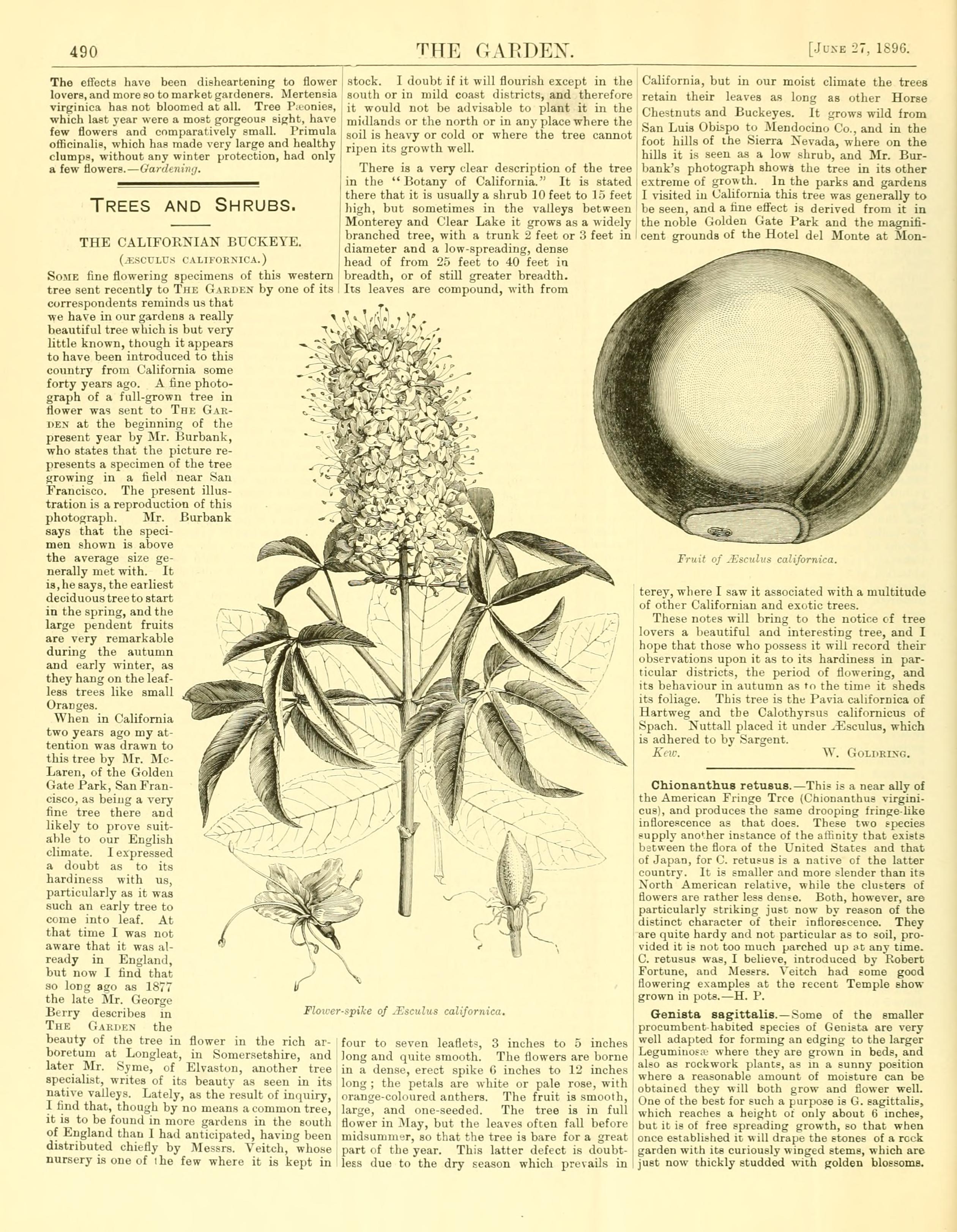 no full size  illustration available (3a)