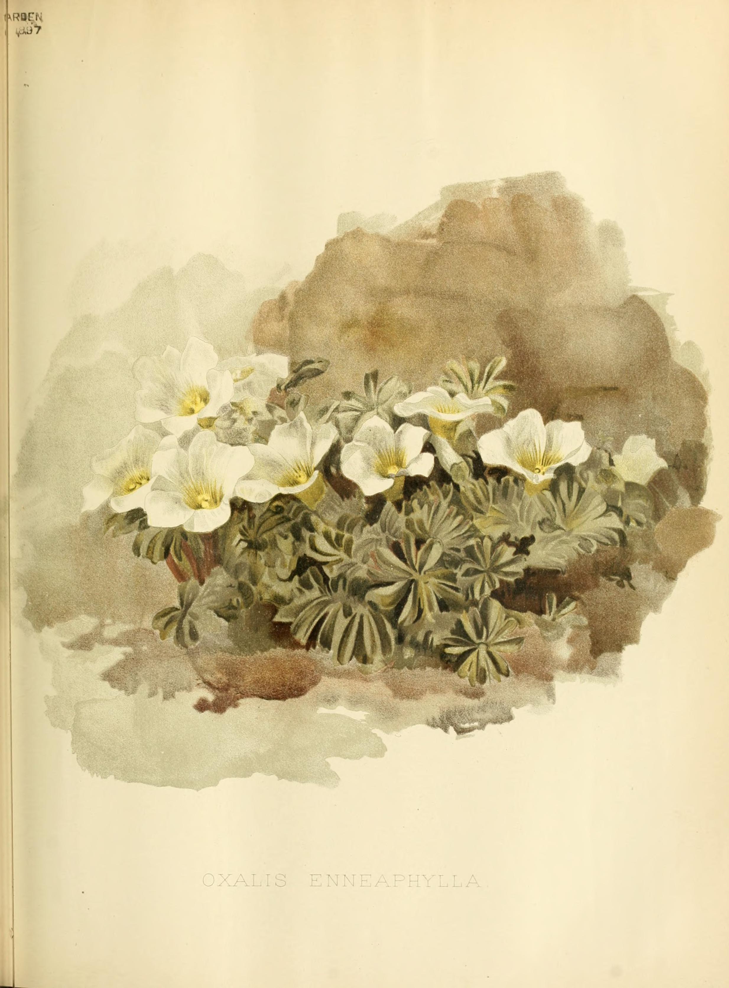 no full size  illustration available (3a)