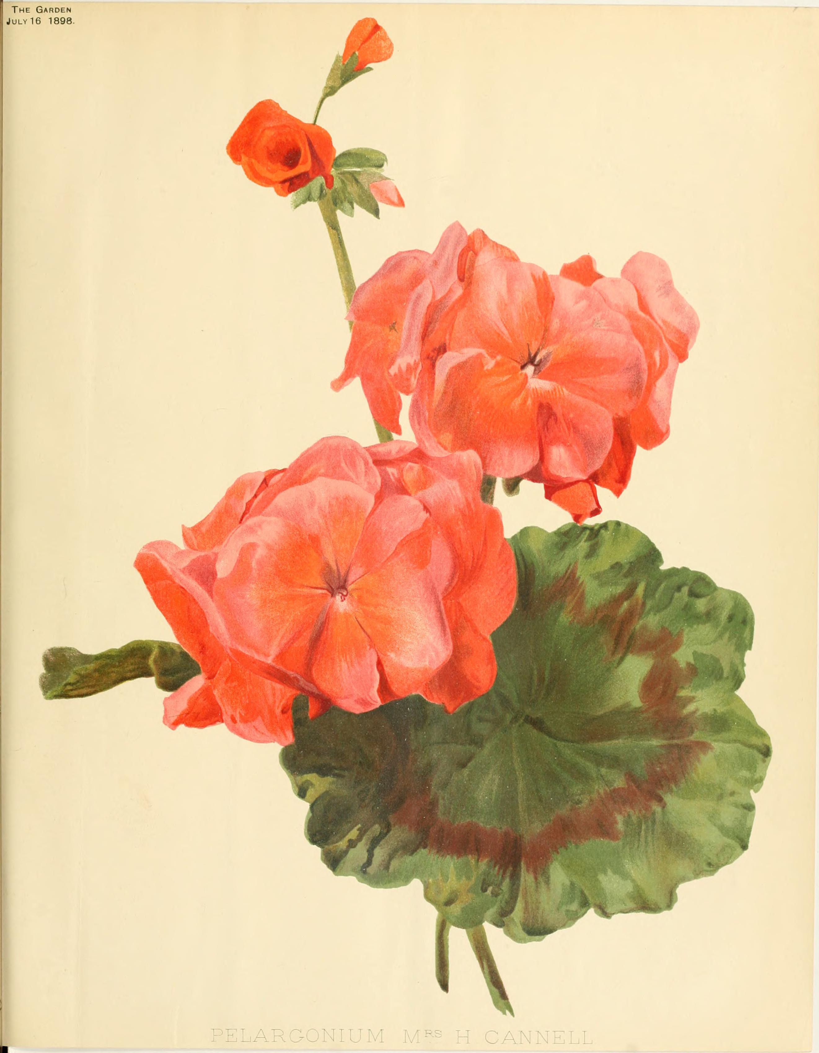 no full size  illustration available (3a)