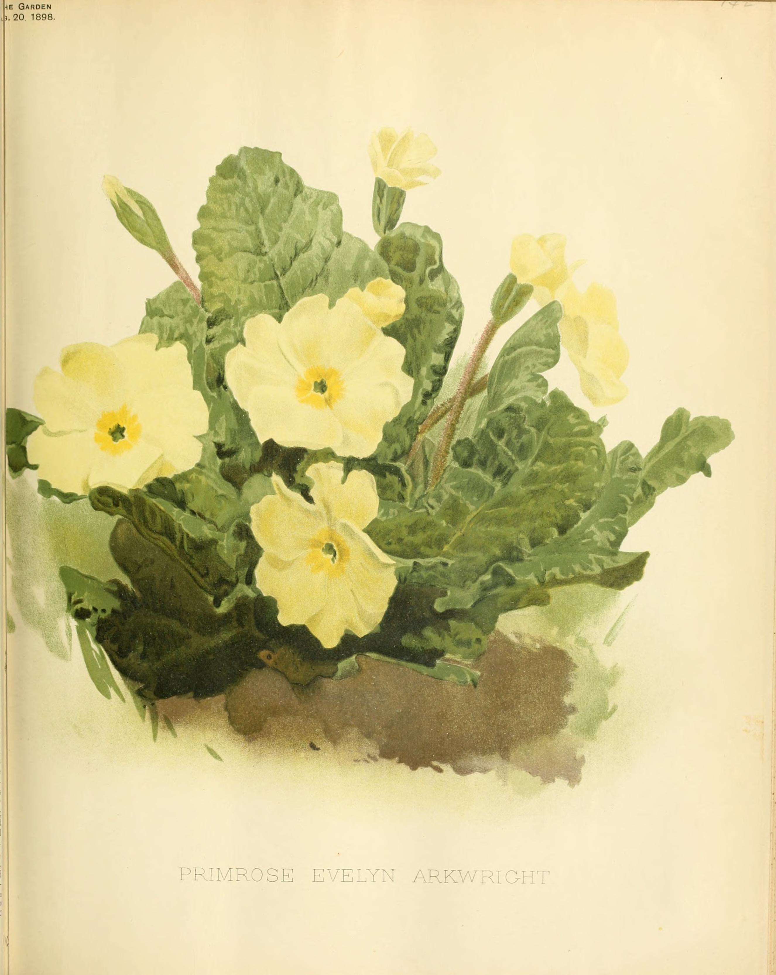 no full size  illustration available (3a)