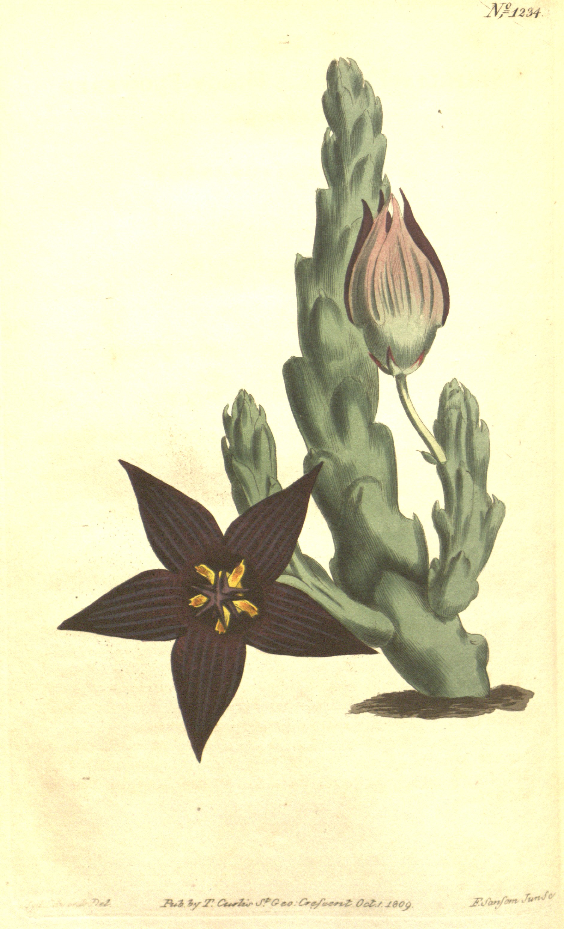 no full size  illustration available (3a)