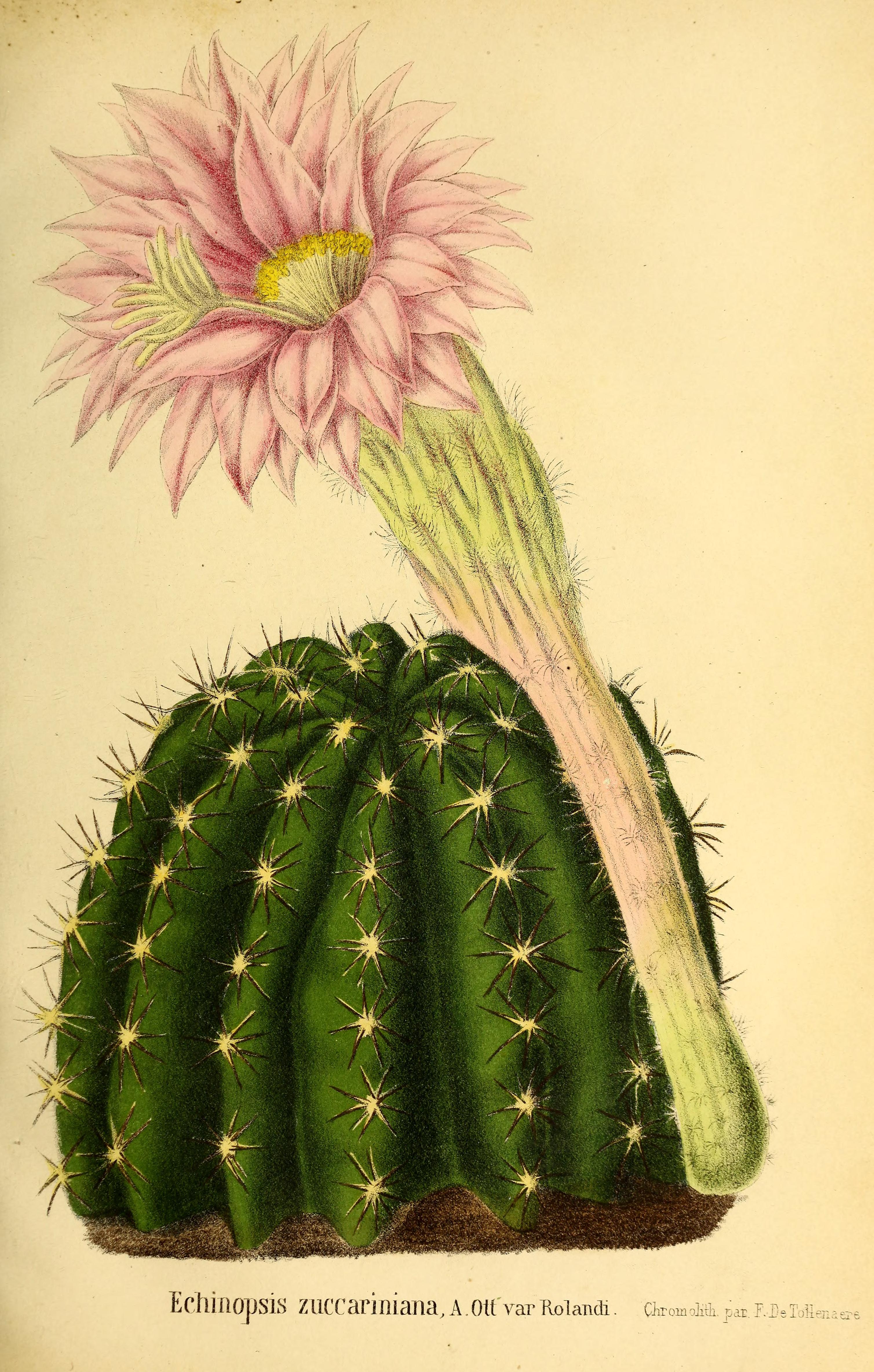 no full size  illustration available (3a)