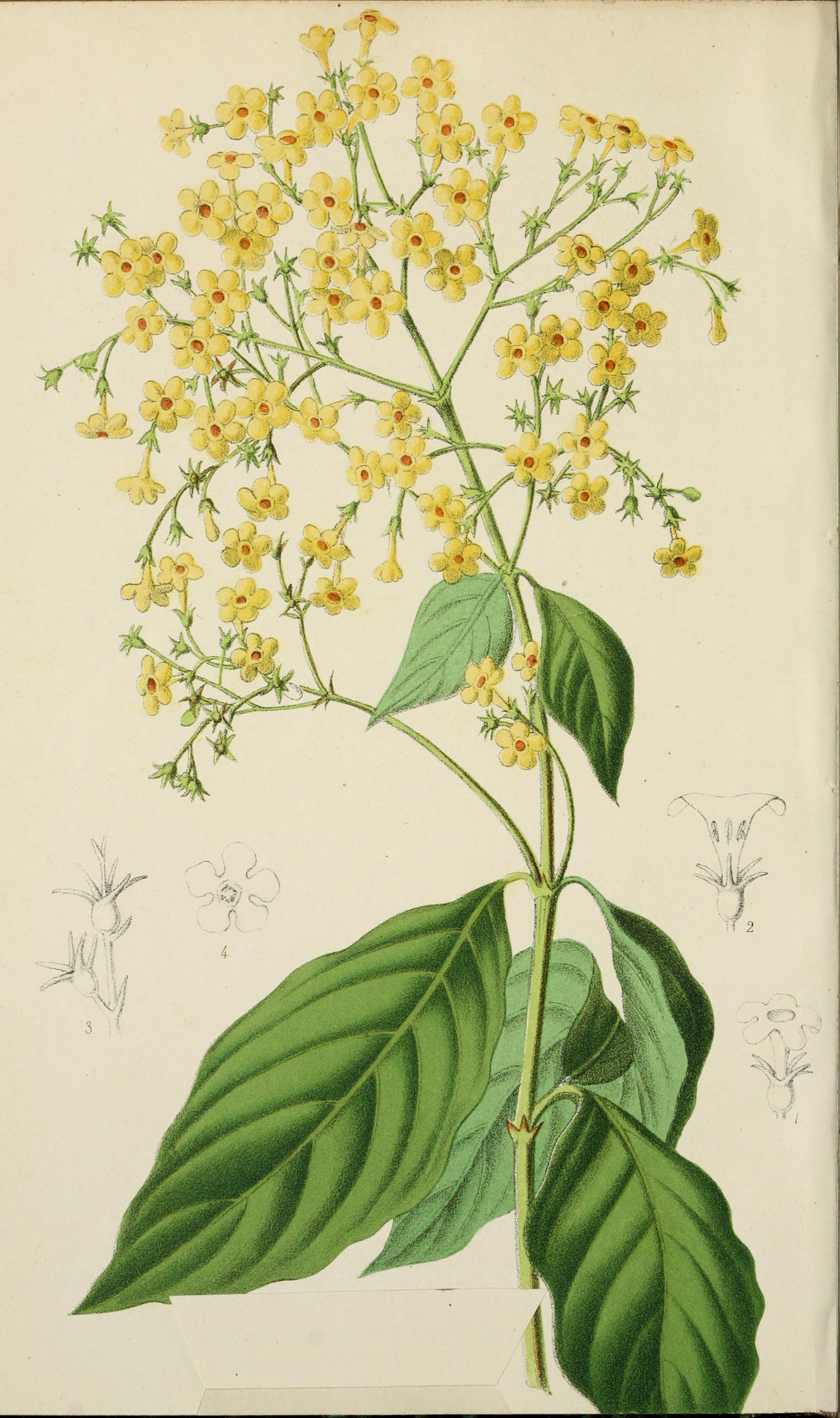 no full size  illustration available (3a)