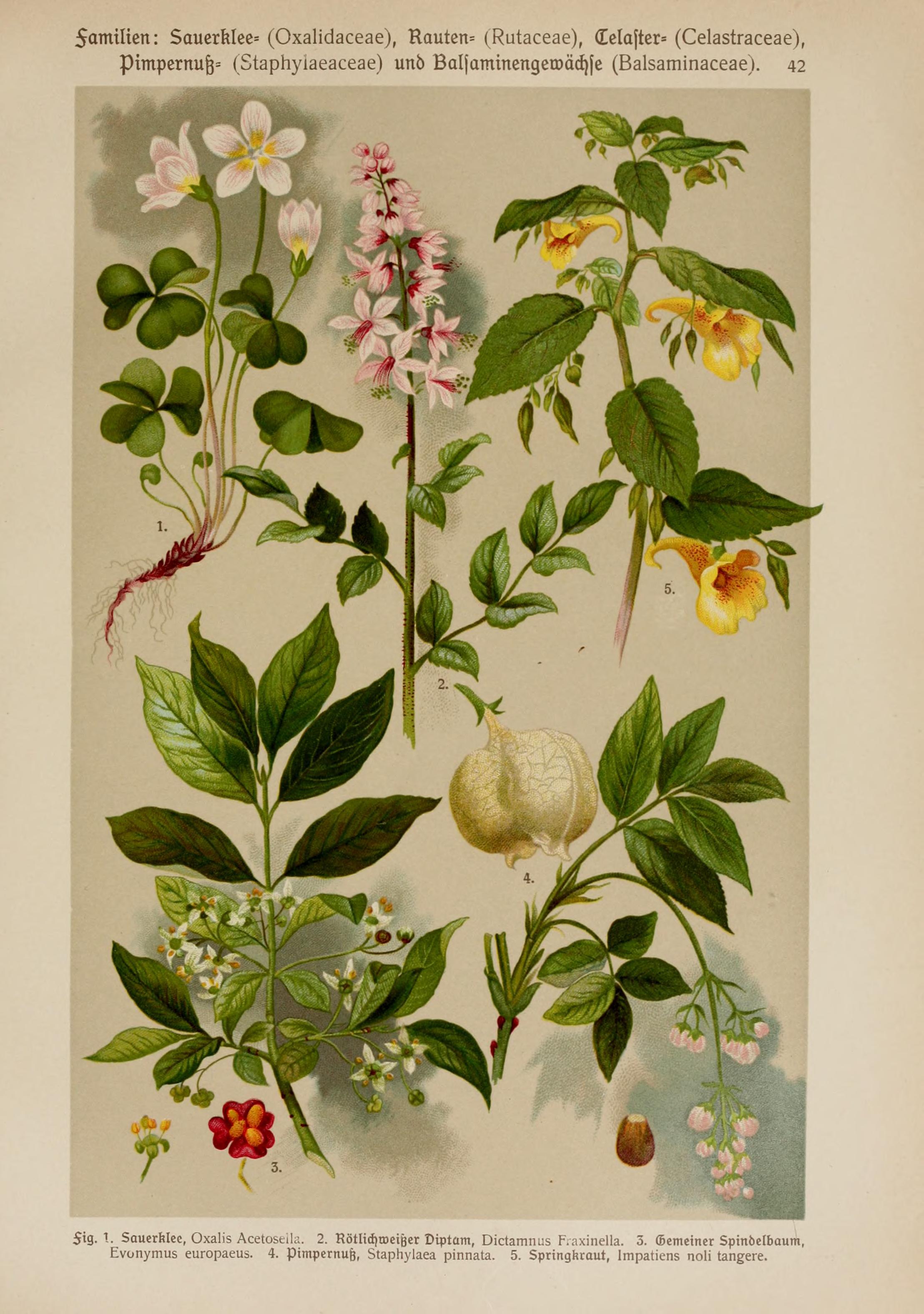 no full size  illustration available (3a)