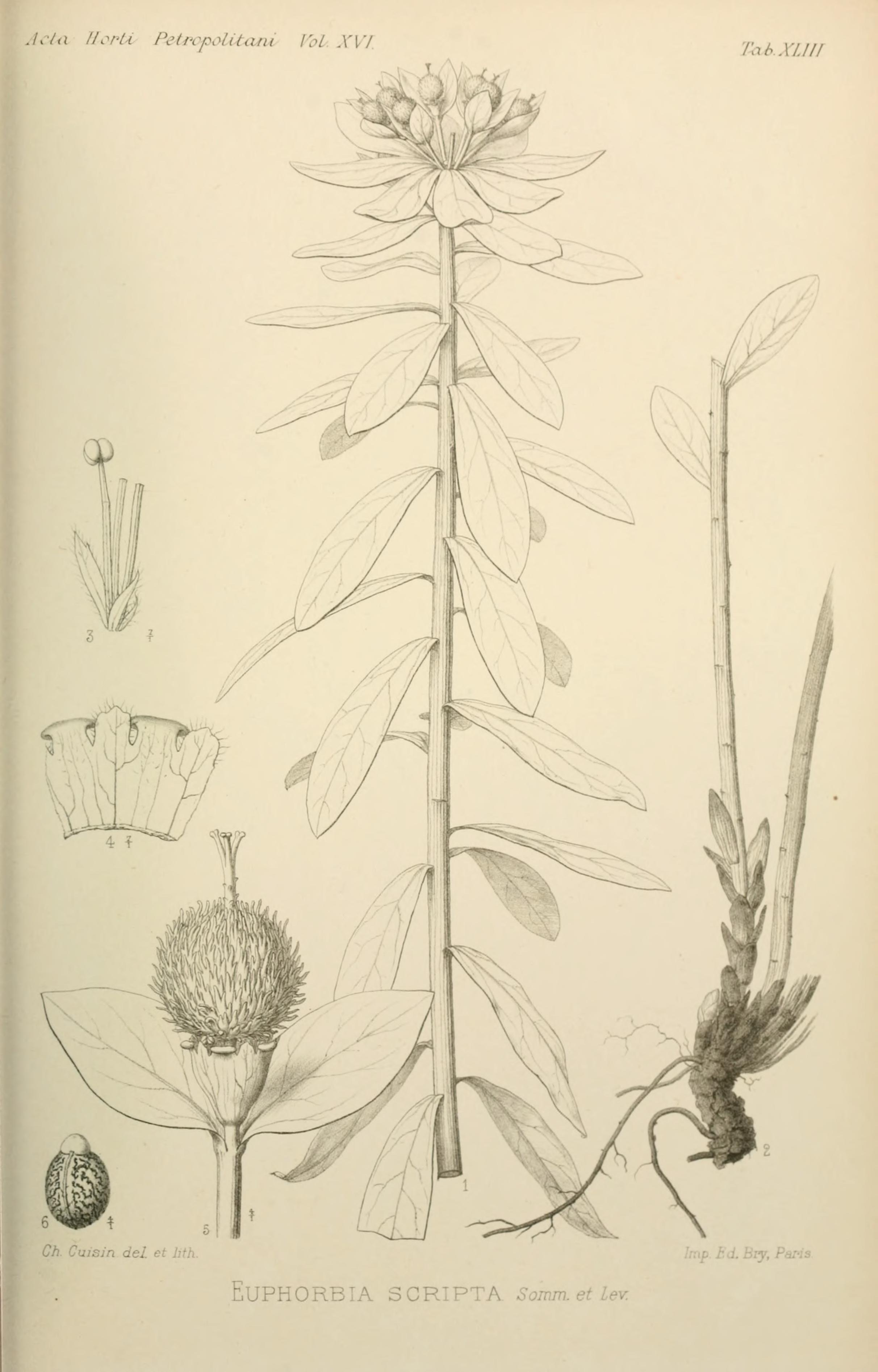 no full size  illustration available (3a)