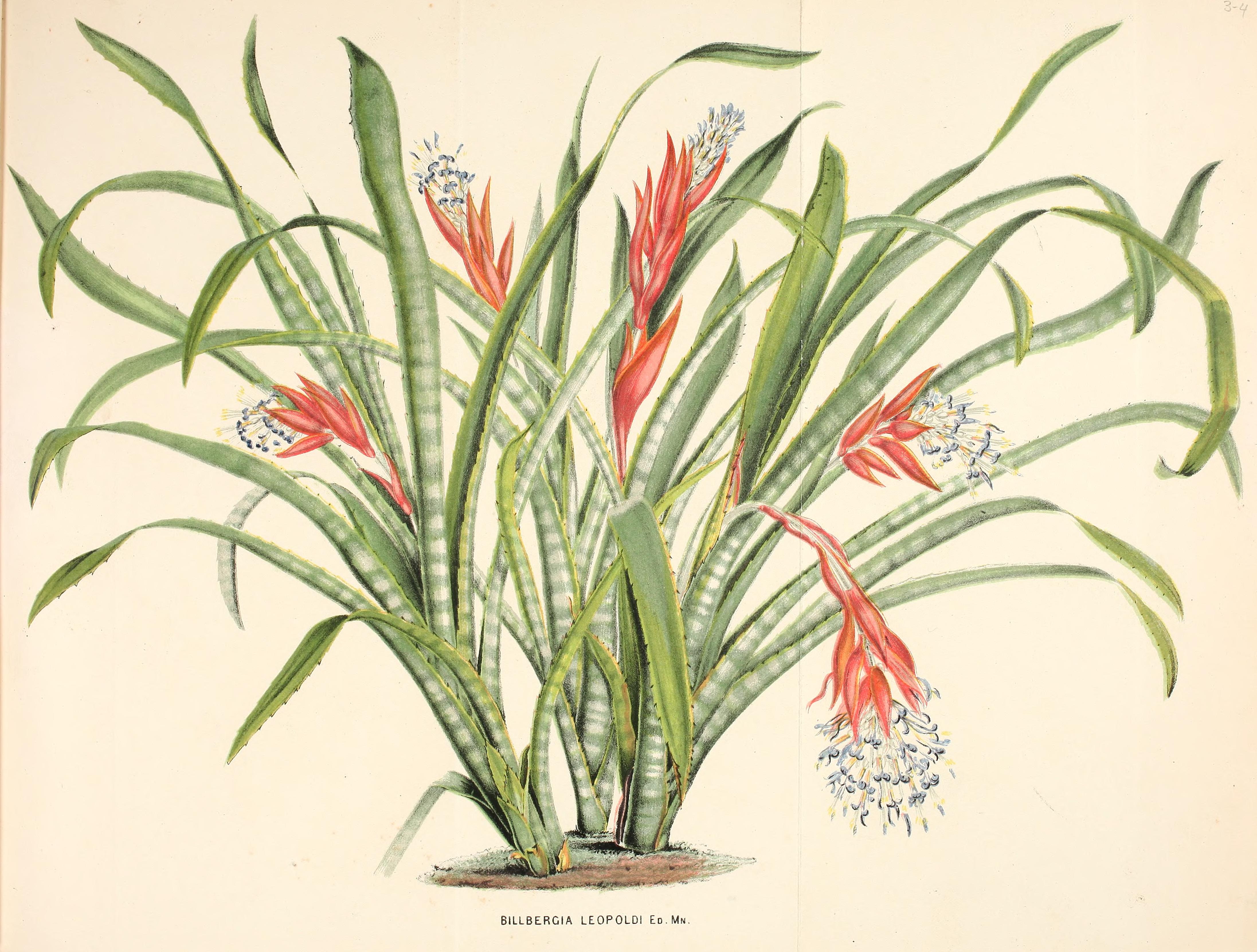 no full size  illustration available (3a)