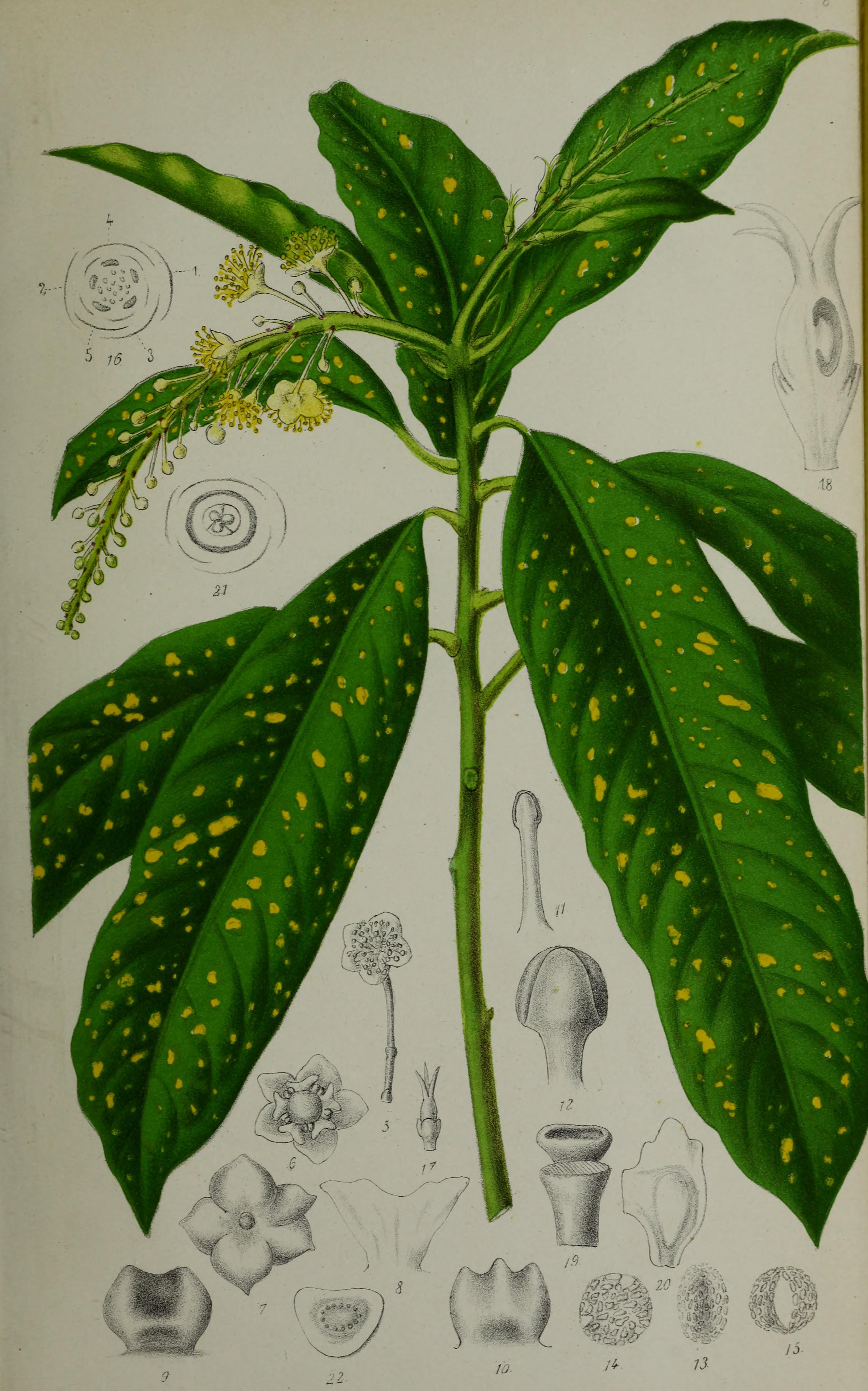 no full size  illustration available (3a)