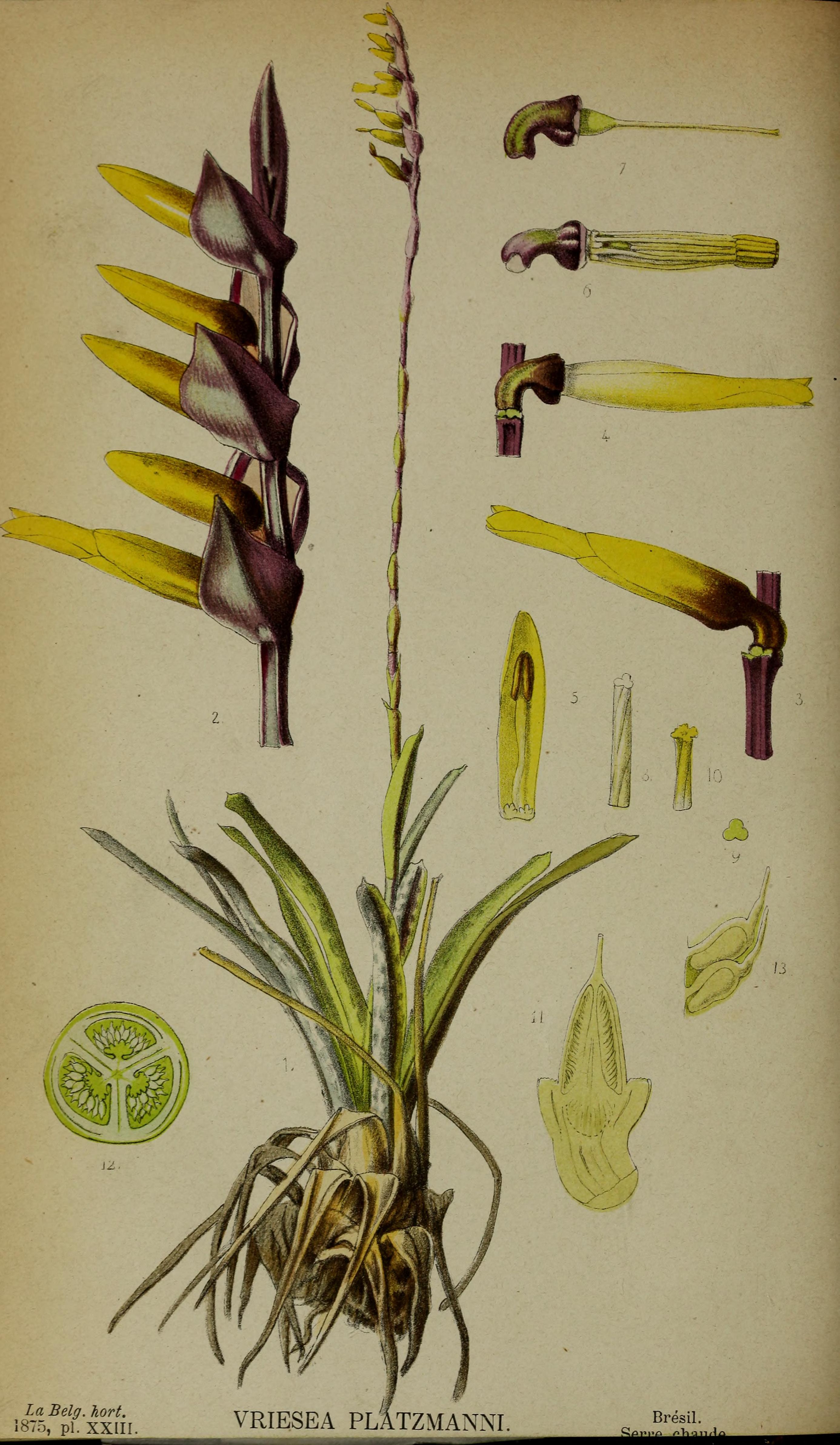 no full size  illustration available (3a)