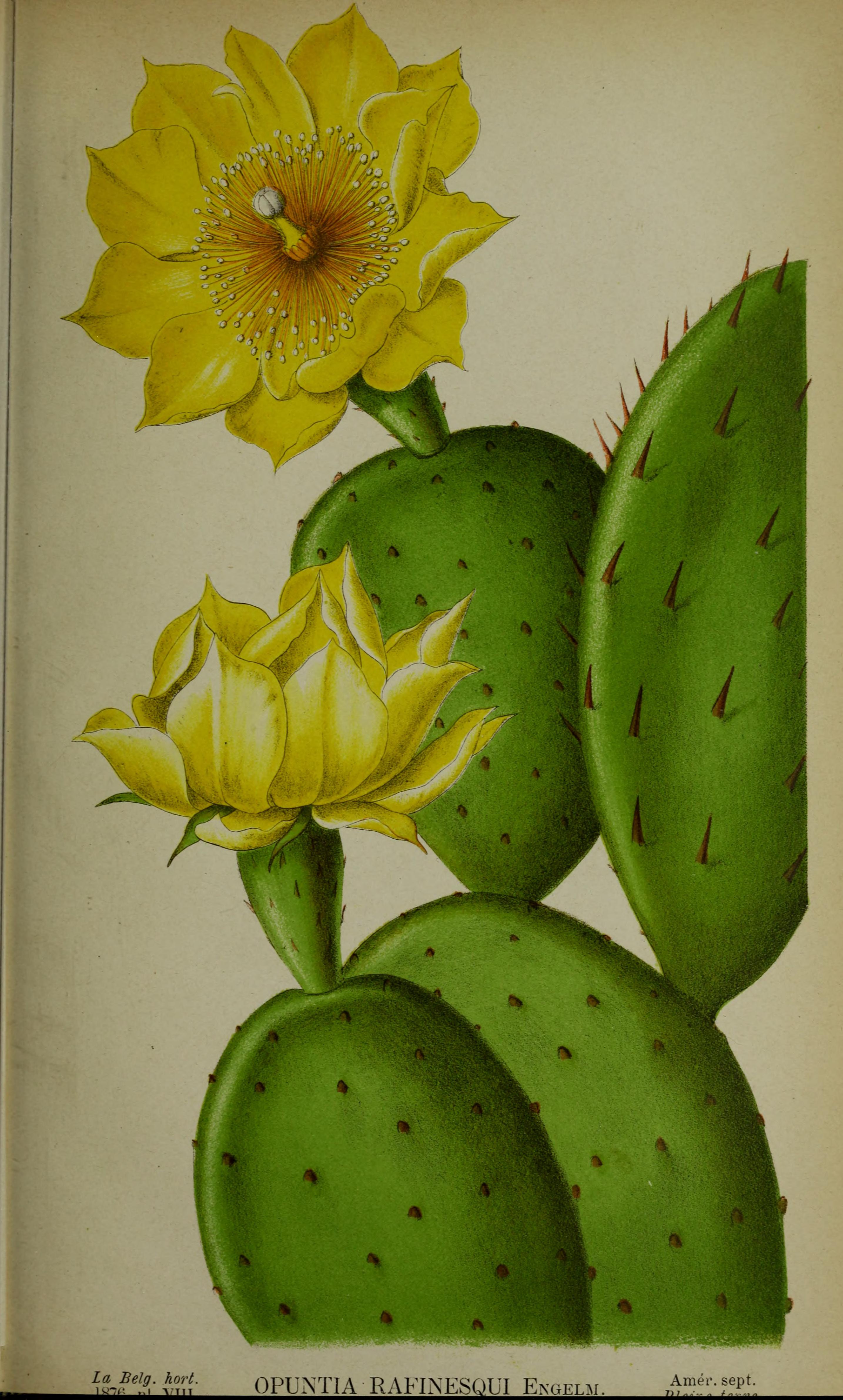 no full size  illustration available (3a)