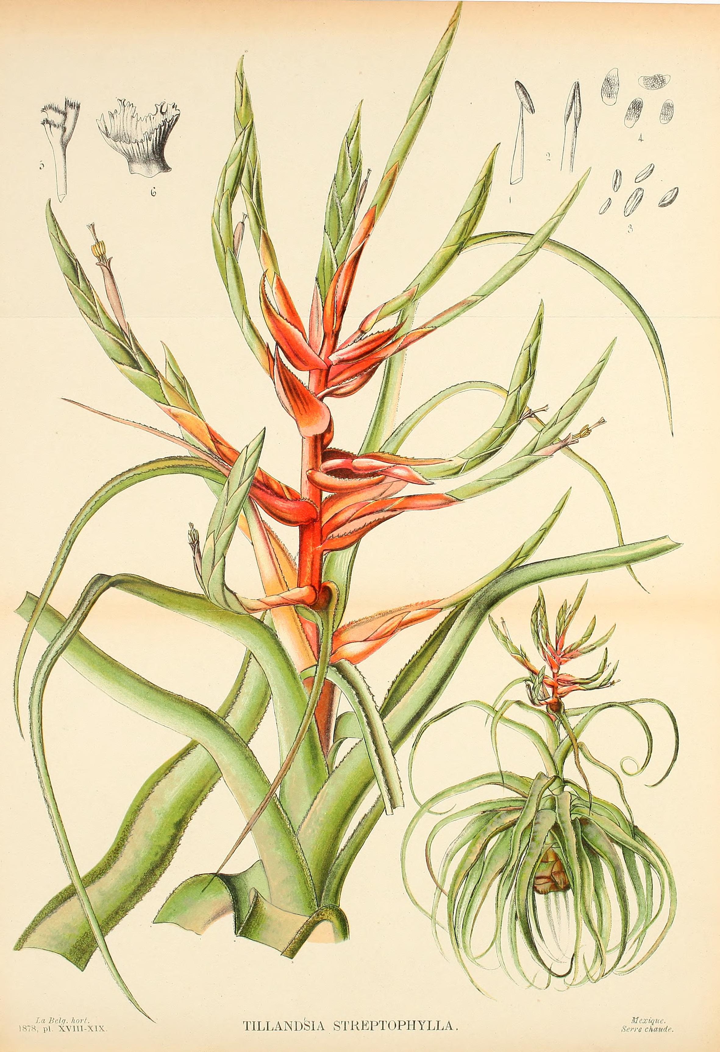 no full size  illustration available (3a)