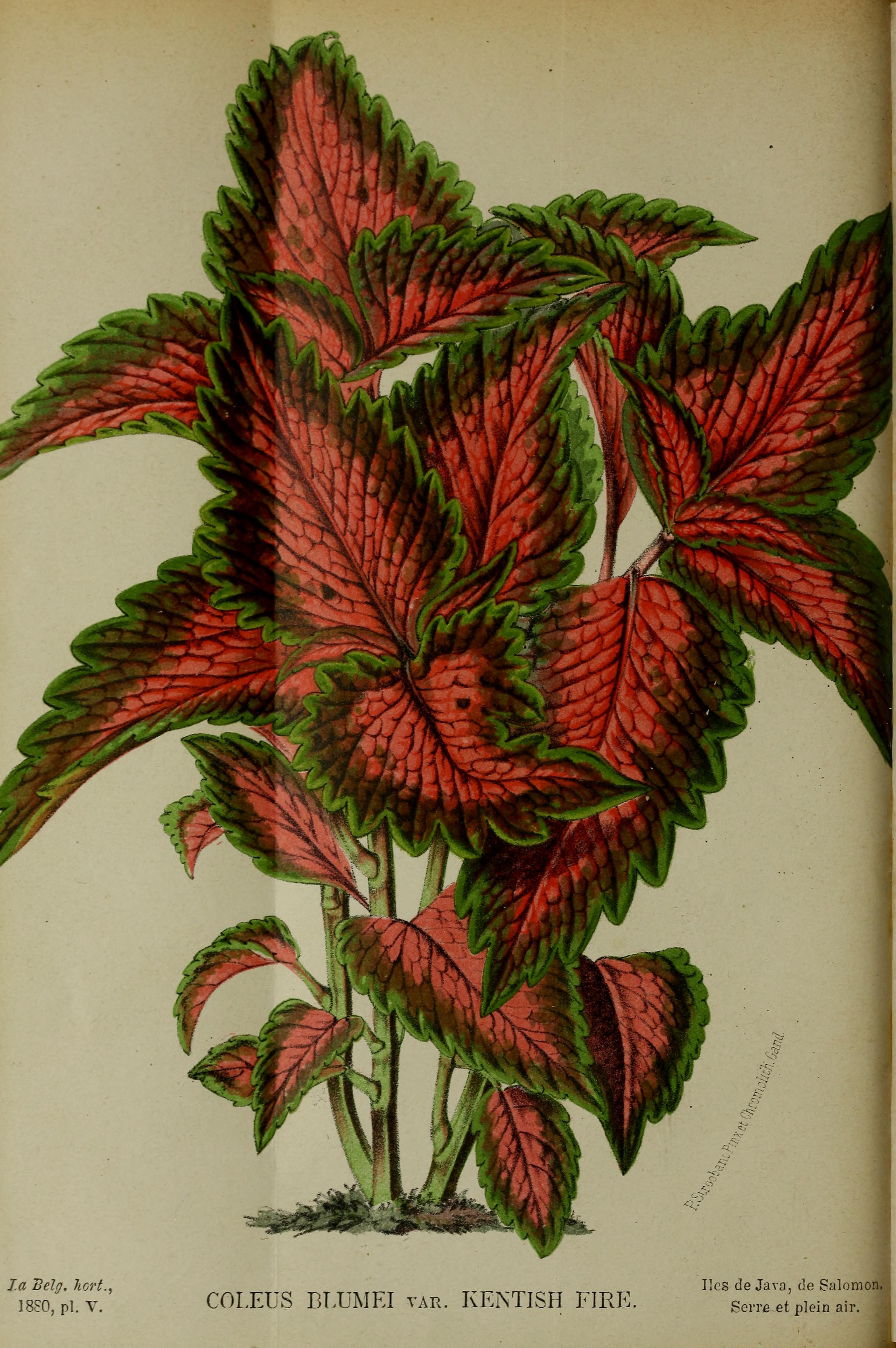 no full size  illustration available (3a)