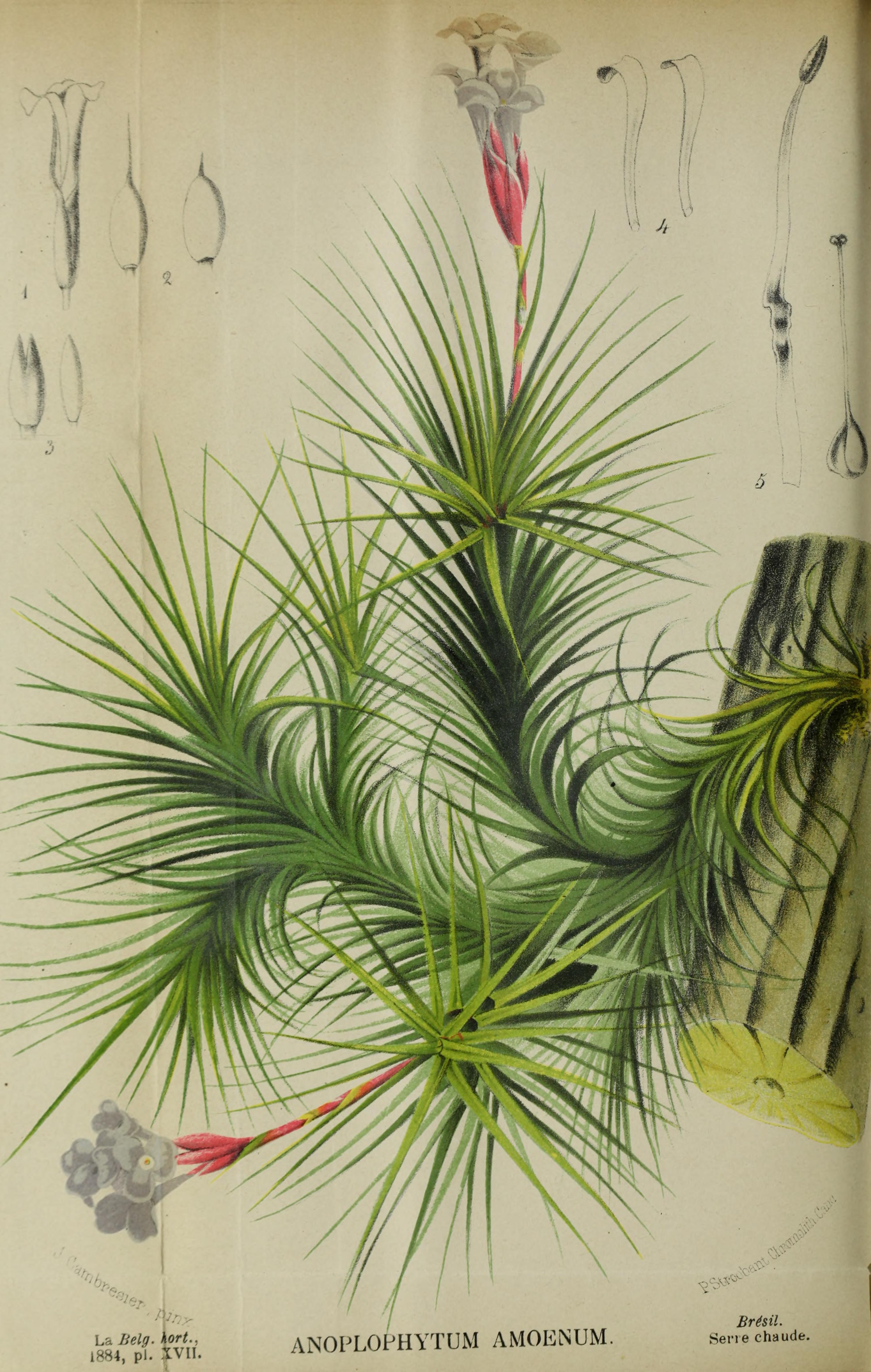 no full size  illustration available (3a)