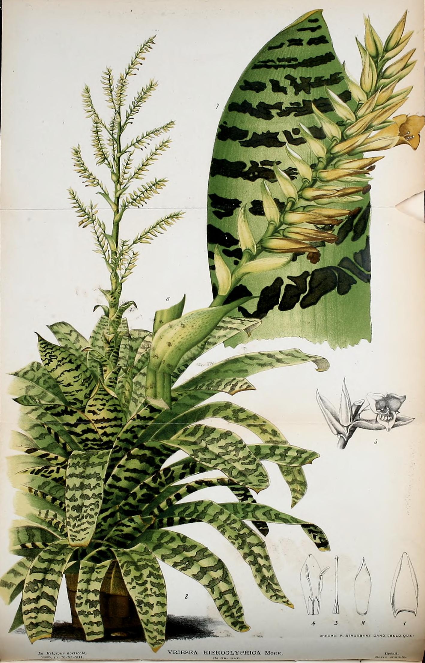 no full size  illustration available (3a)