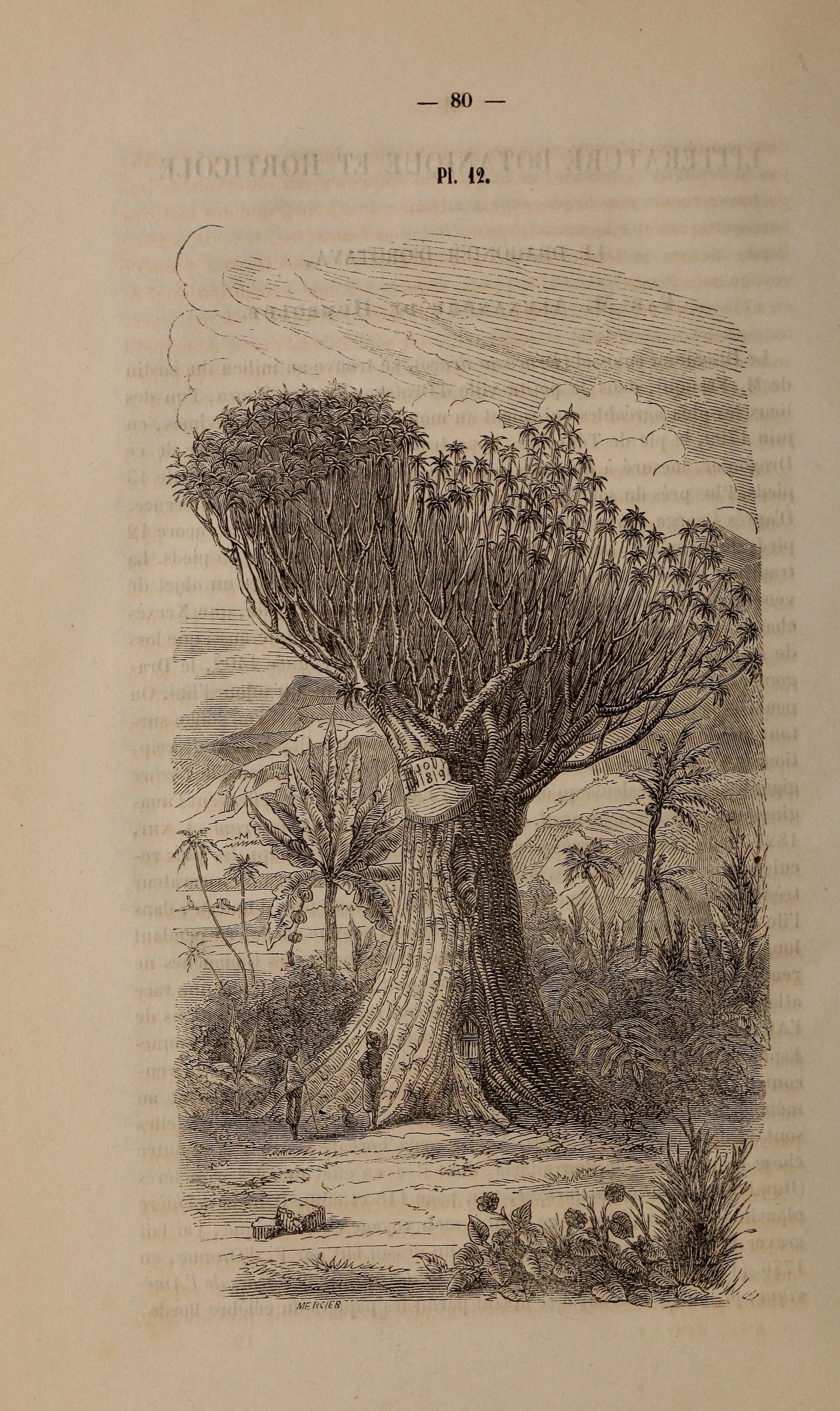 no full size  illustration available (3a)