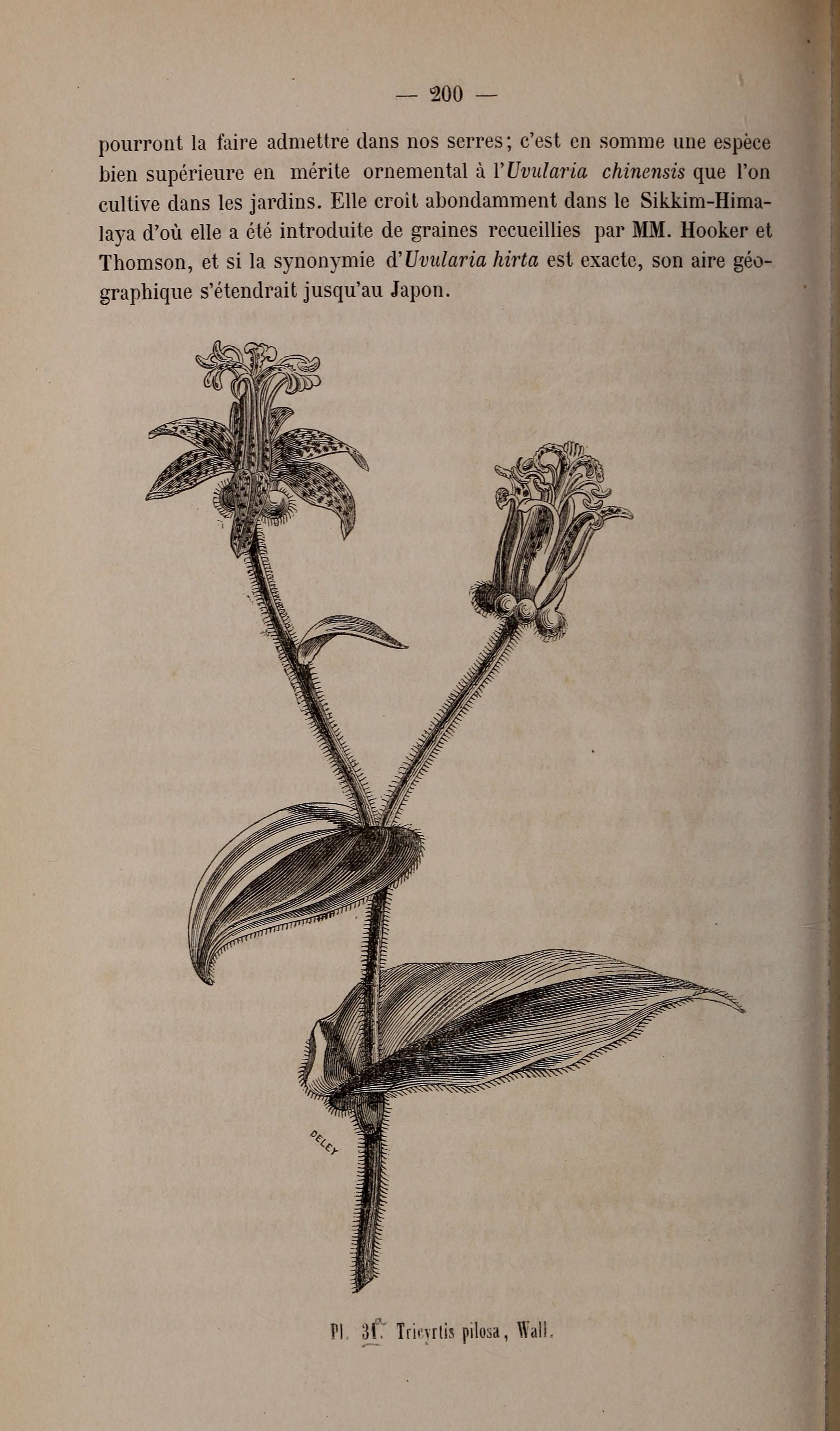 no full size  illustration available (3a)