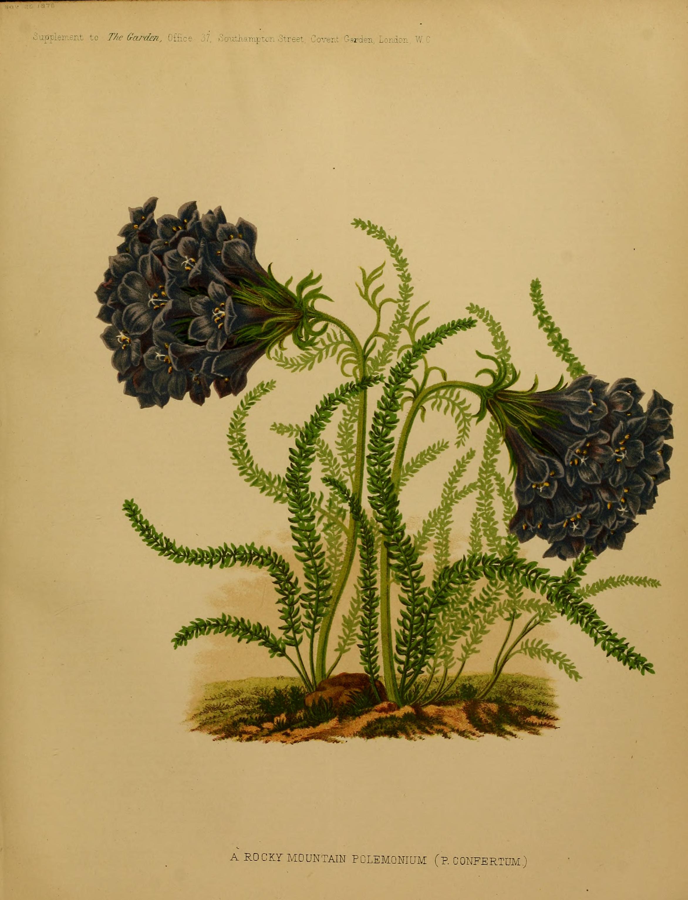 no full size  illustration available (3a)