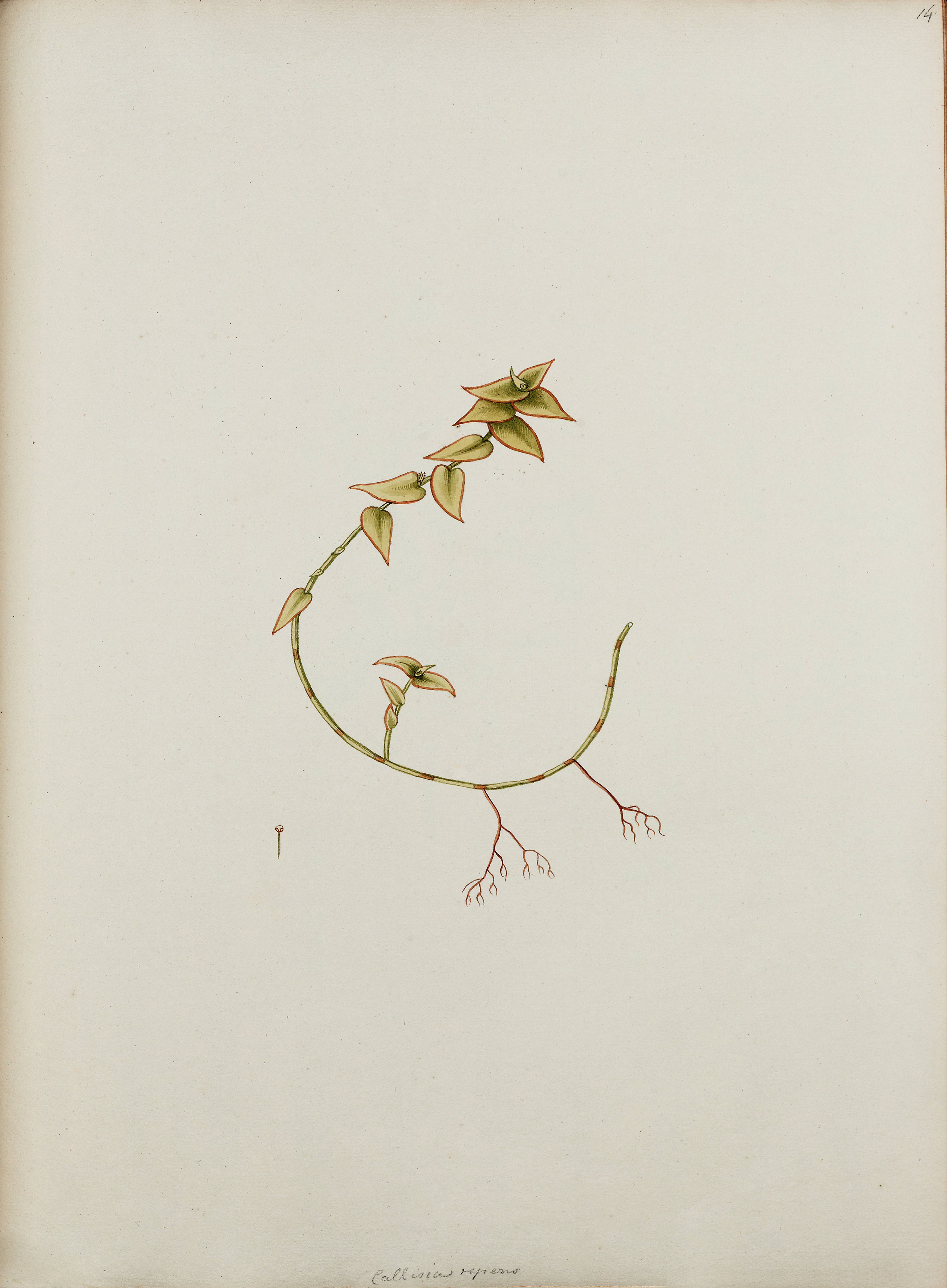 no full size  illustration available (3a)