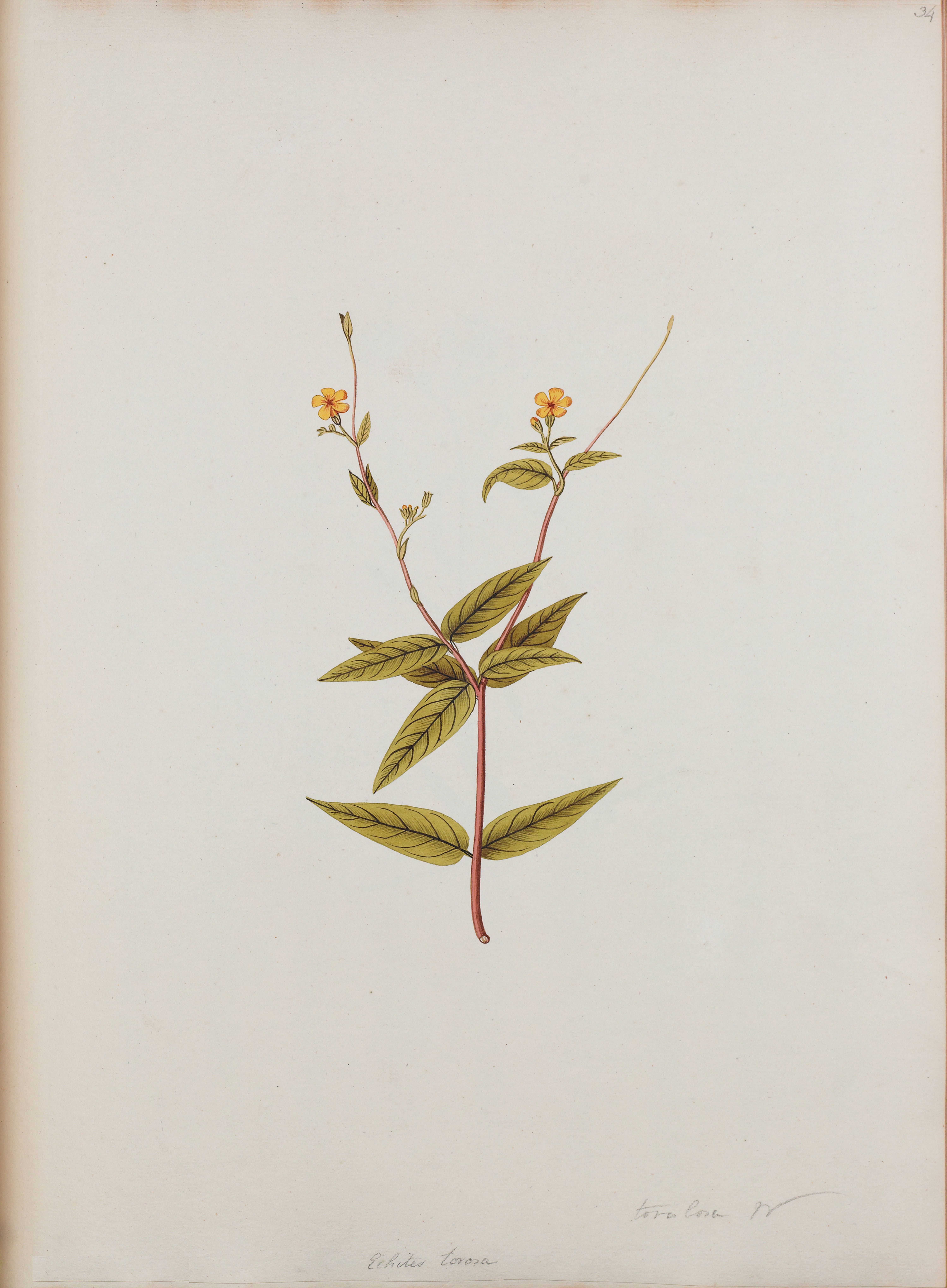 no full size  illustration available (3a)