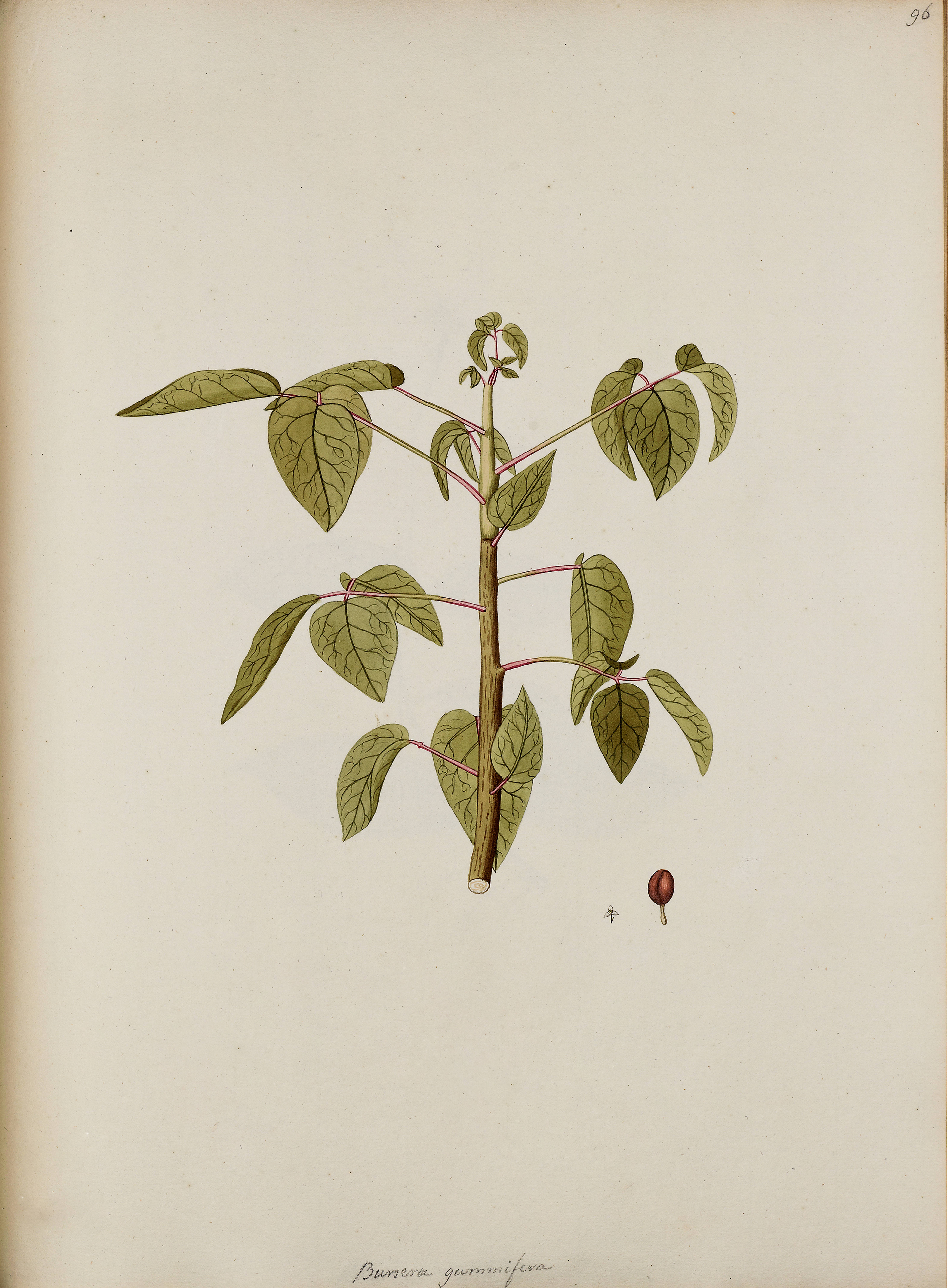 no full size  illustration available (3a)