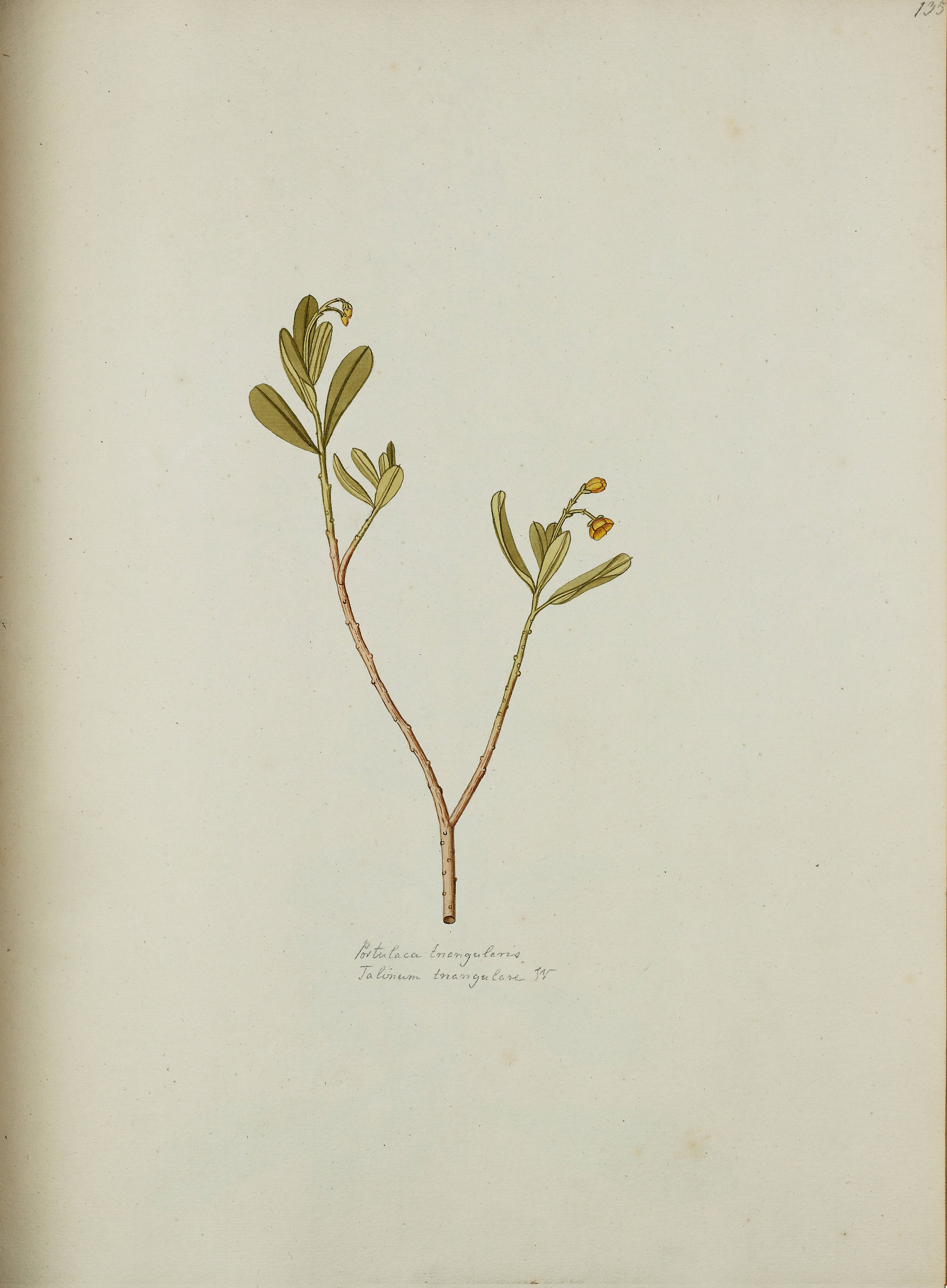 no full size  illustration available (3a)