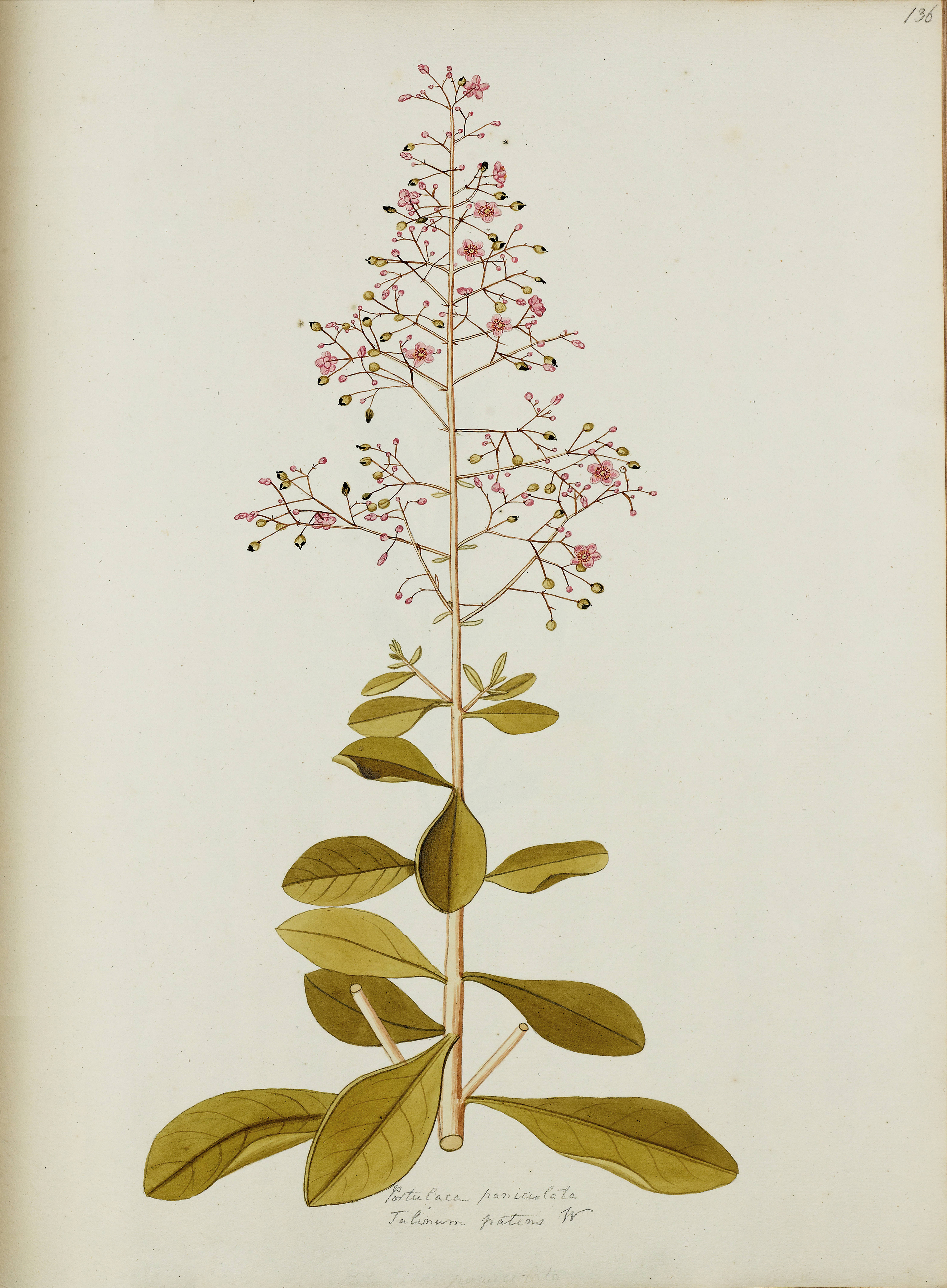 no full size  illustration available (3a)