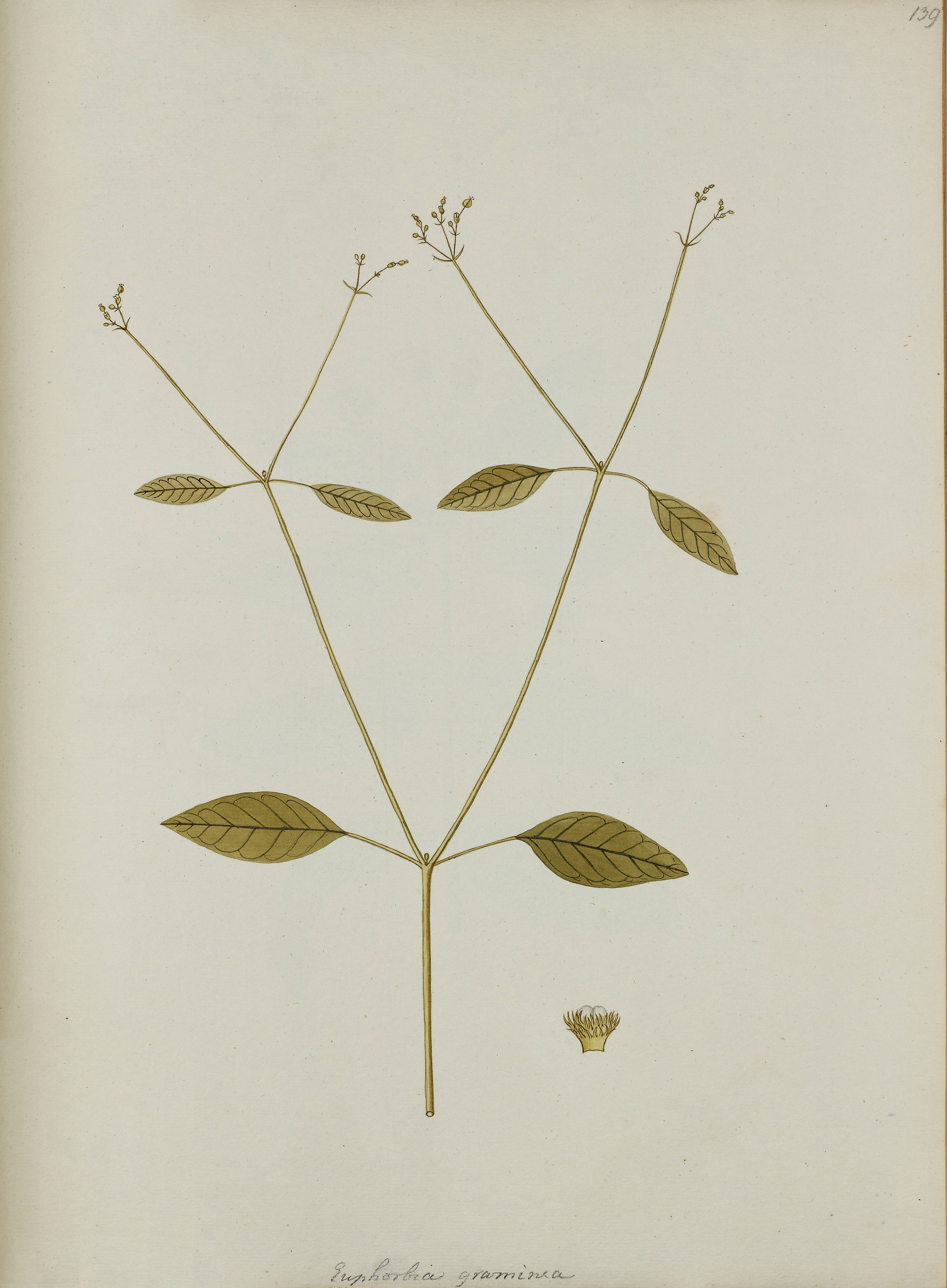 no full size  illustration available (3a)