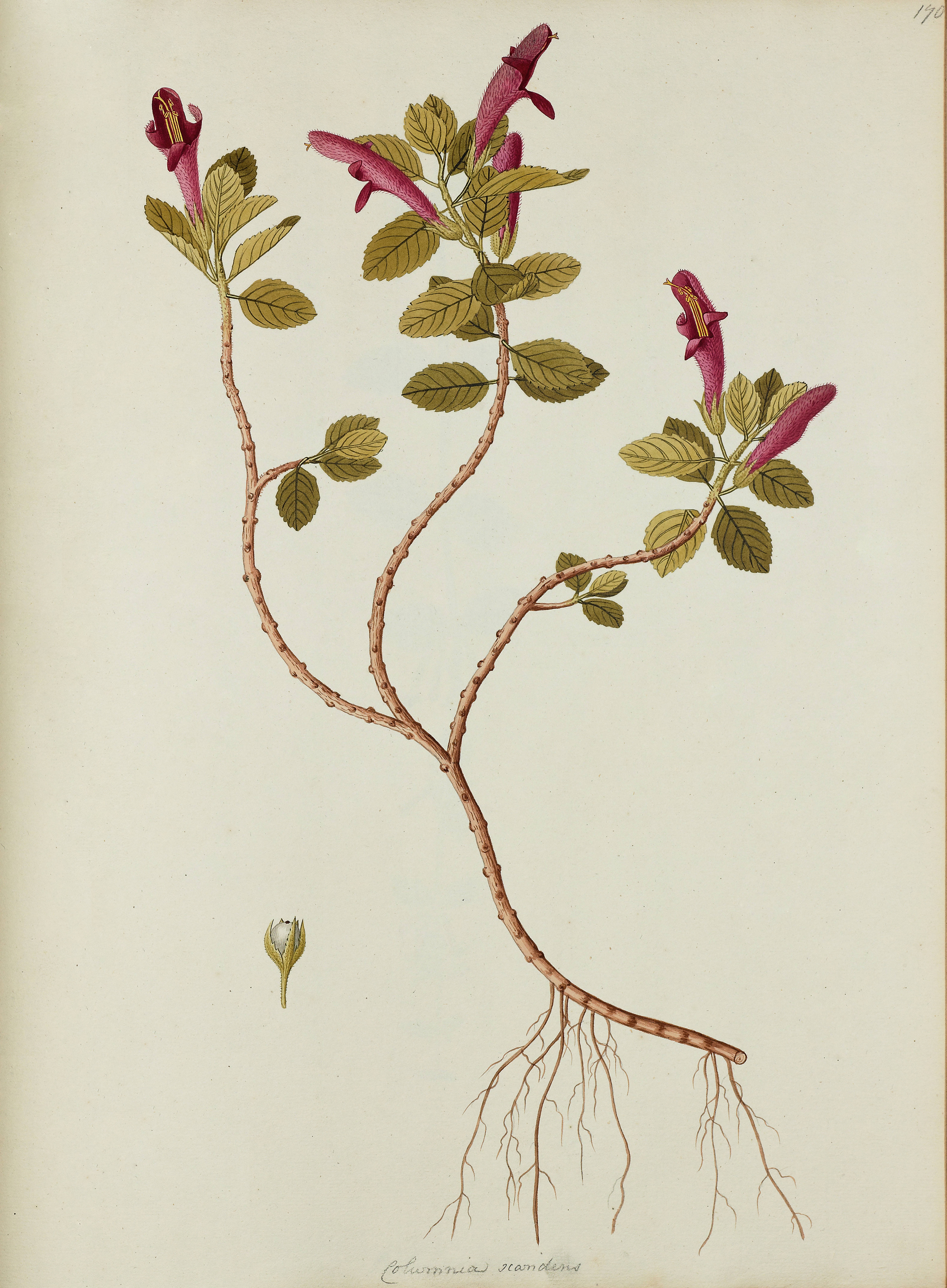 no full size  illustration available (3a)