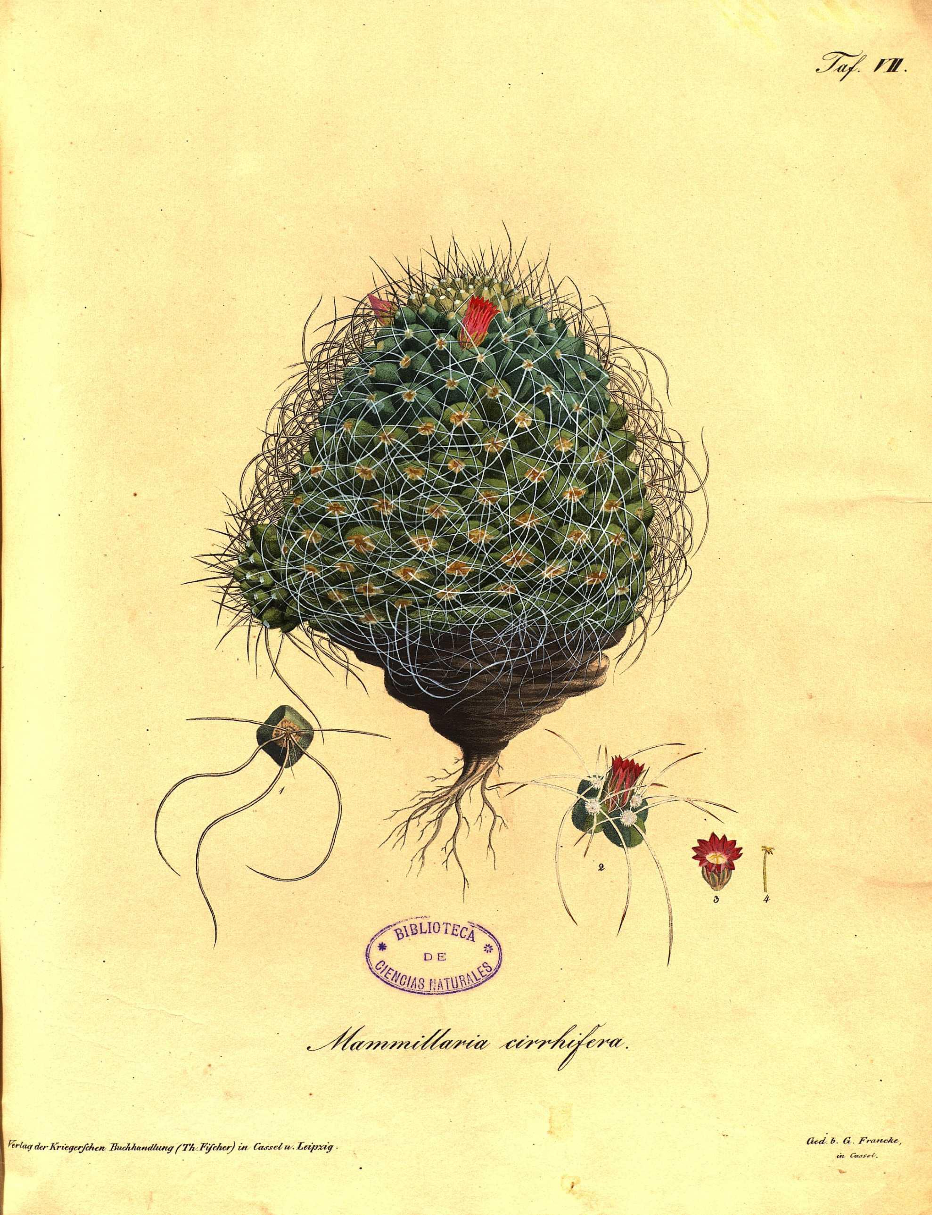 no full size  illustration available (3a)