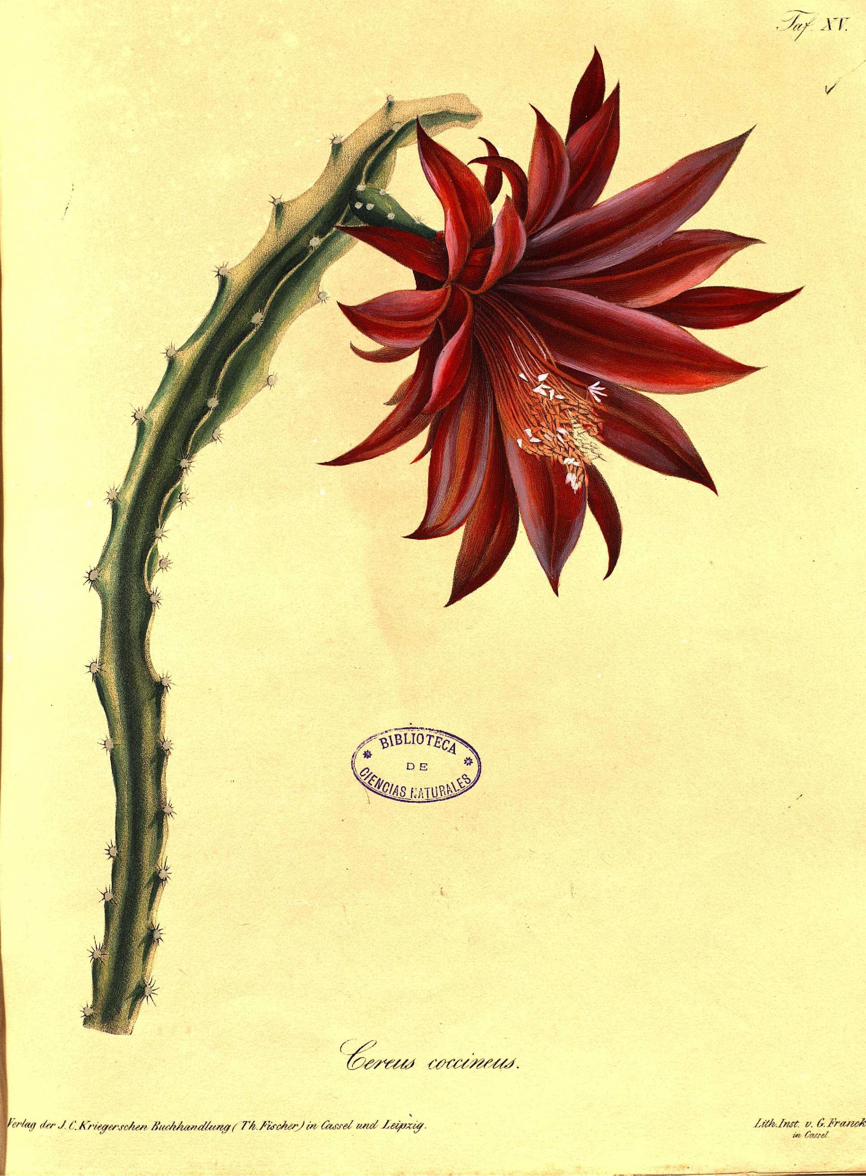 no full size  illustration available (3a)