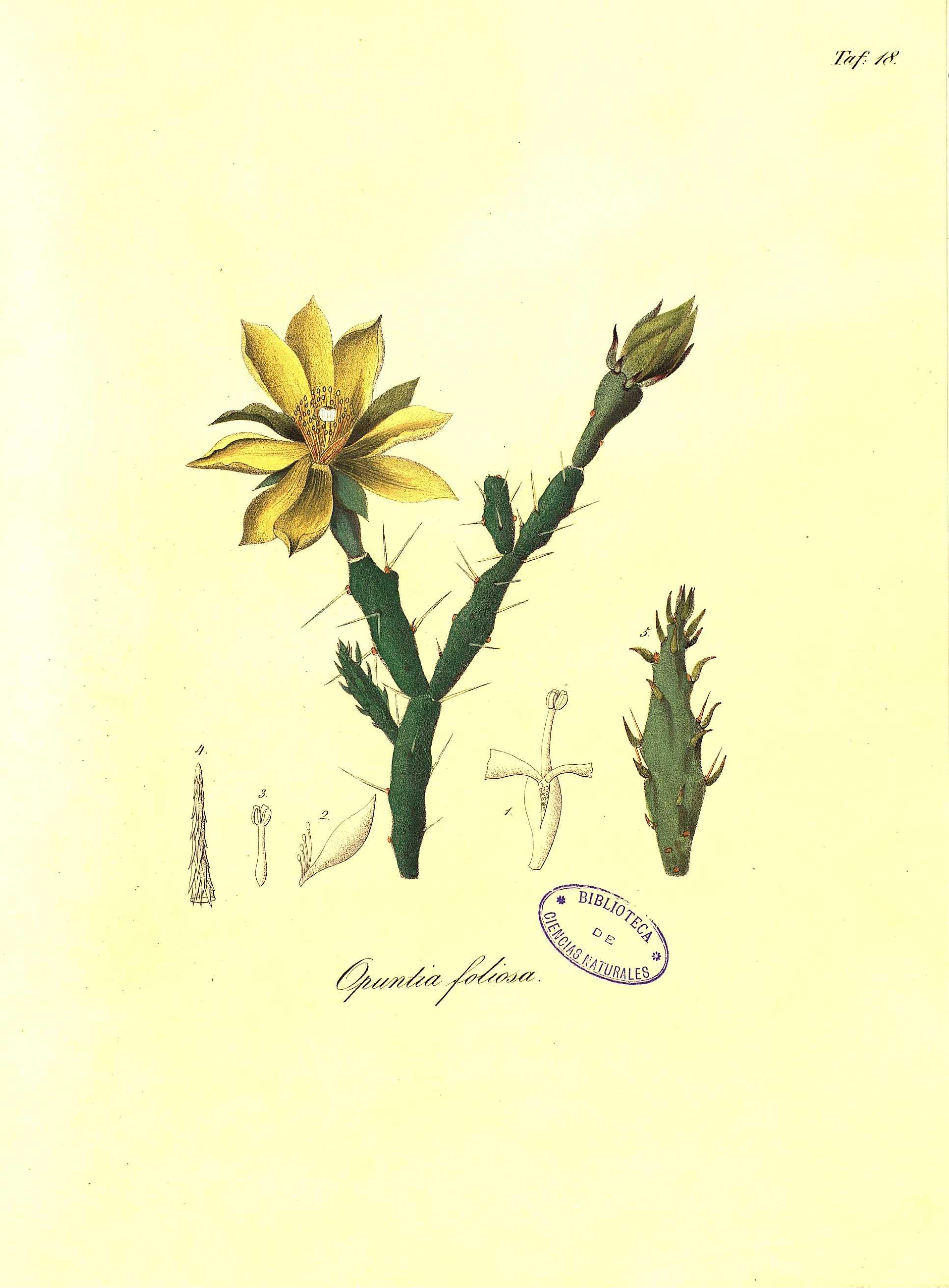 no full size  illustration available (3a)