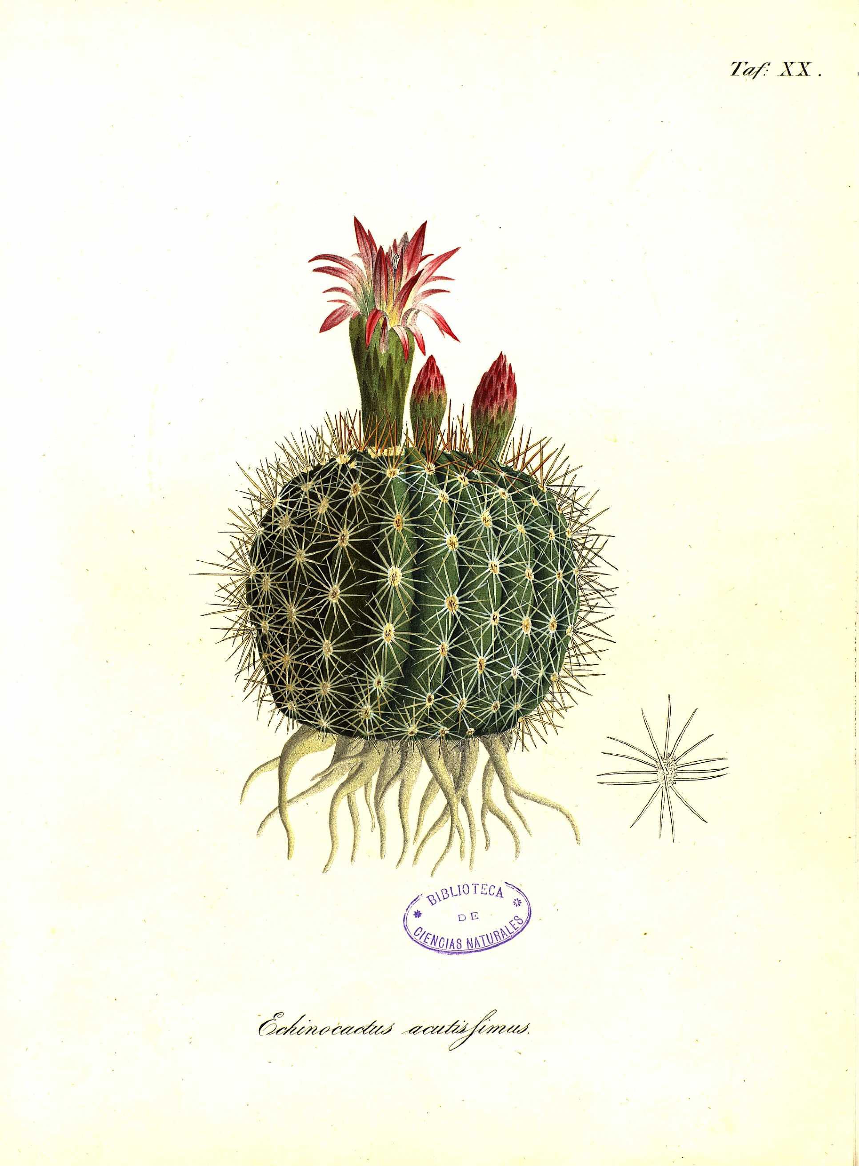 no full size  illustration available (3a)