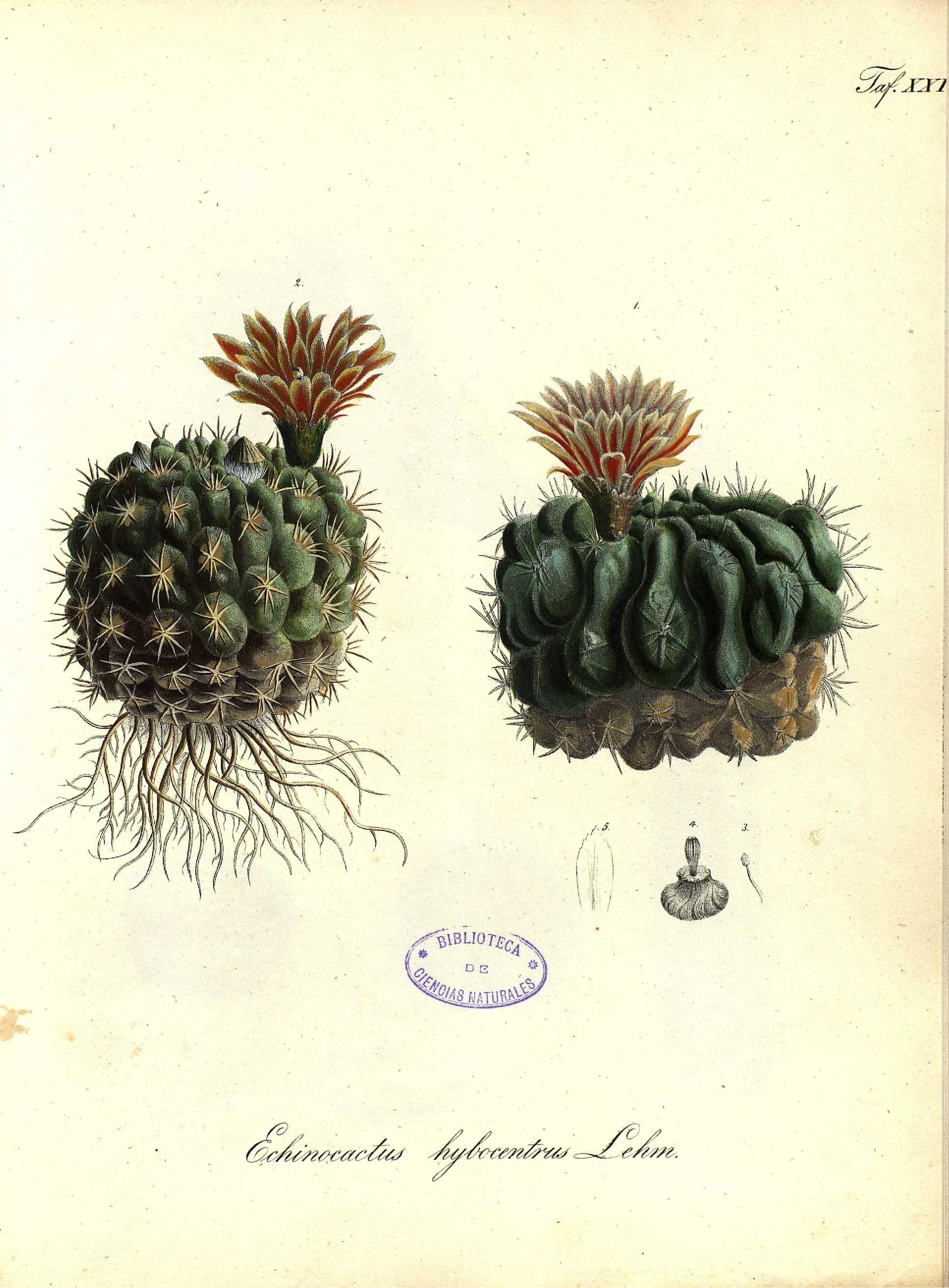 no full size  illustration available (3a)