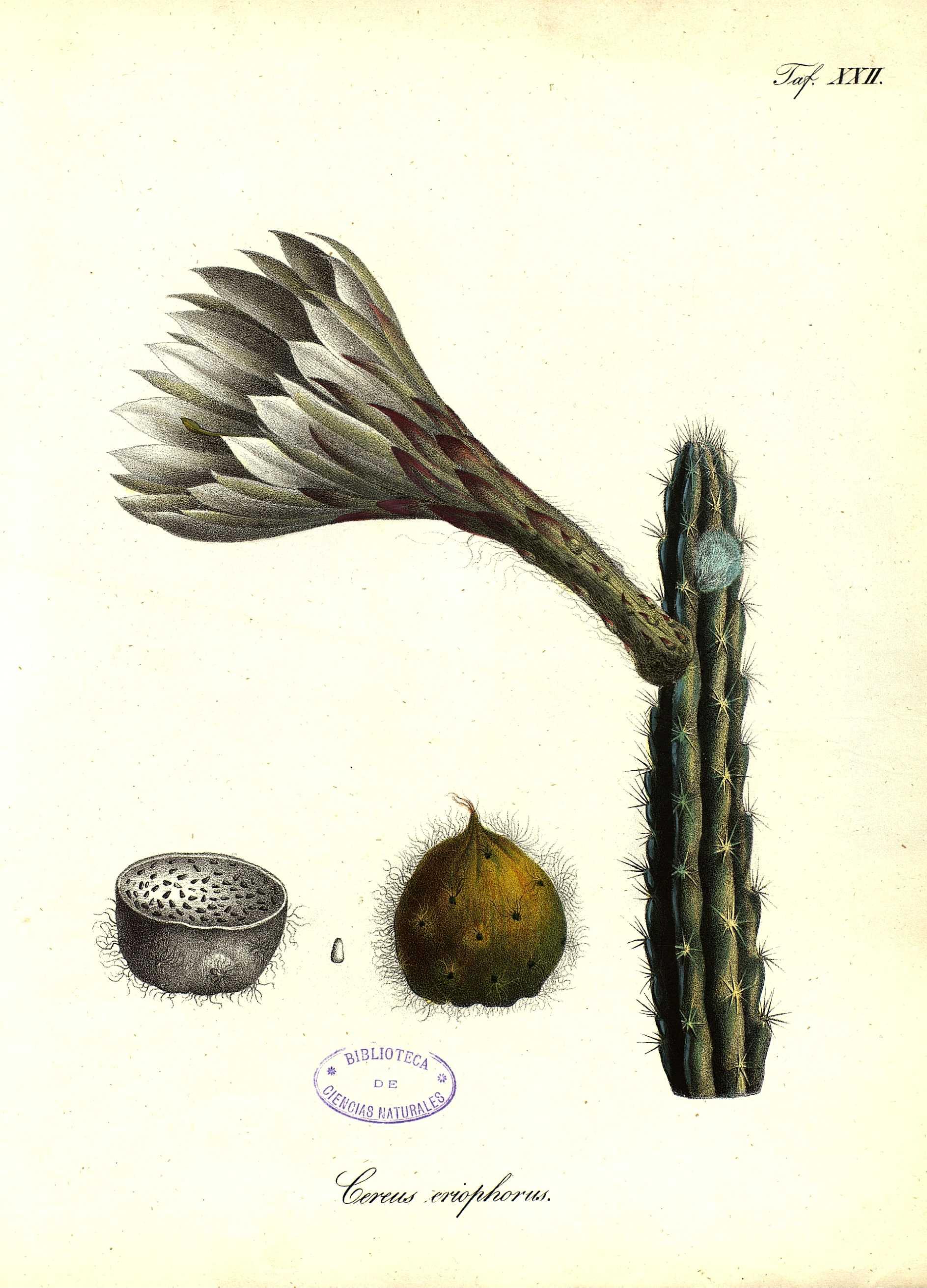 no full size  illustration available (3a)