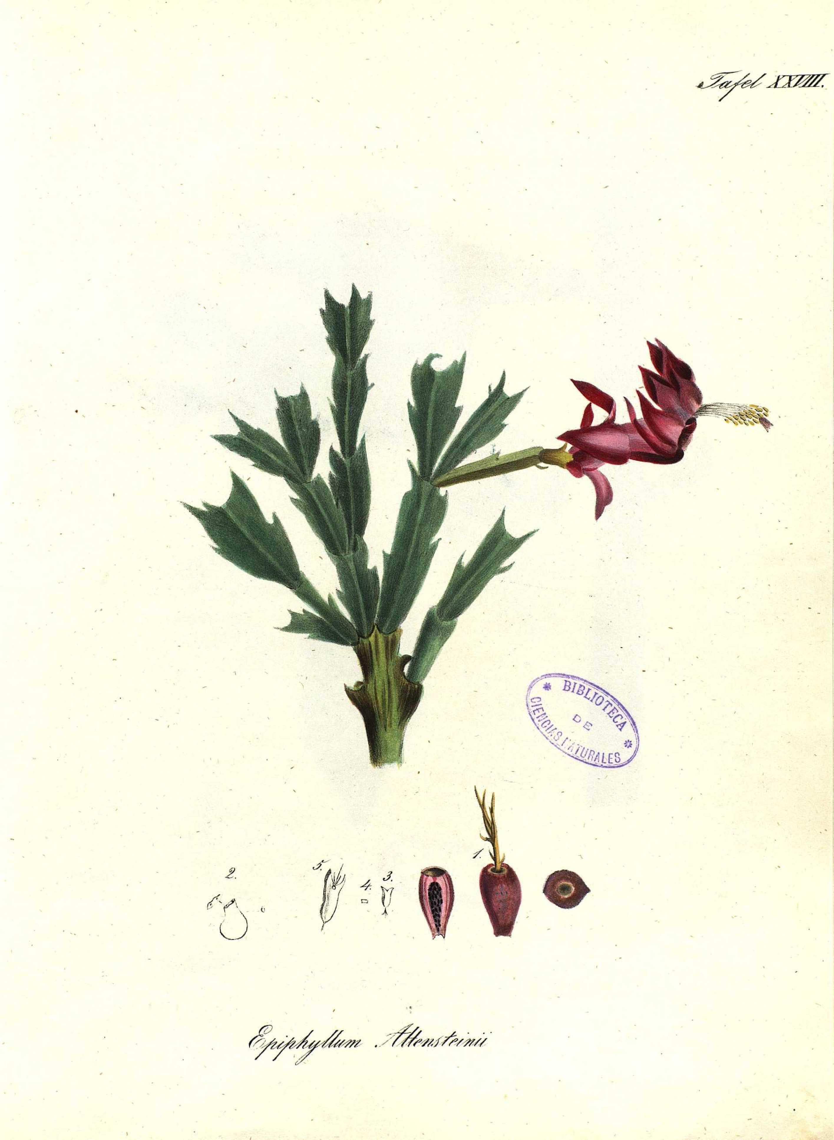 no full size  illustration available (3a)