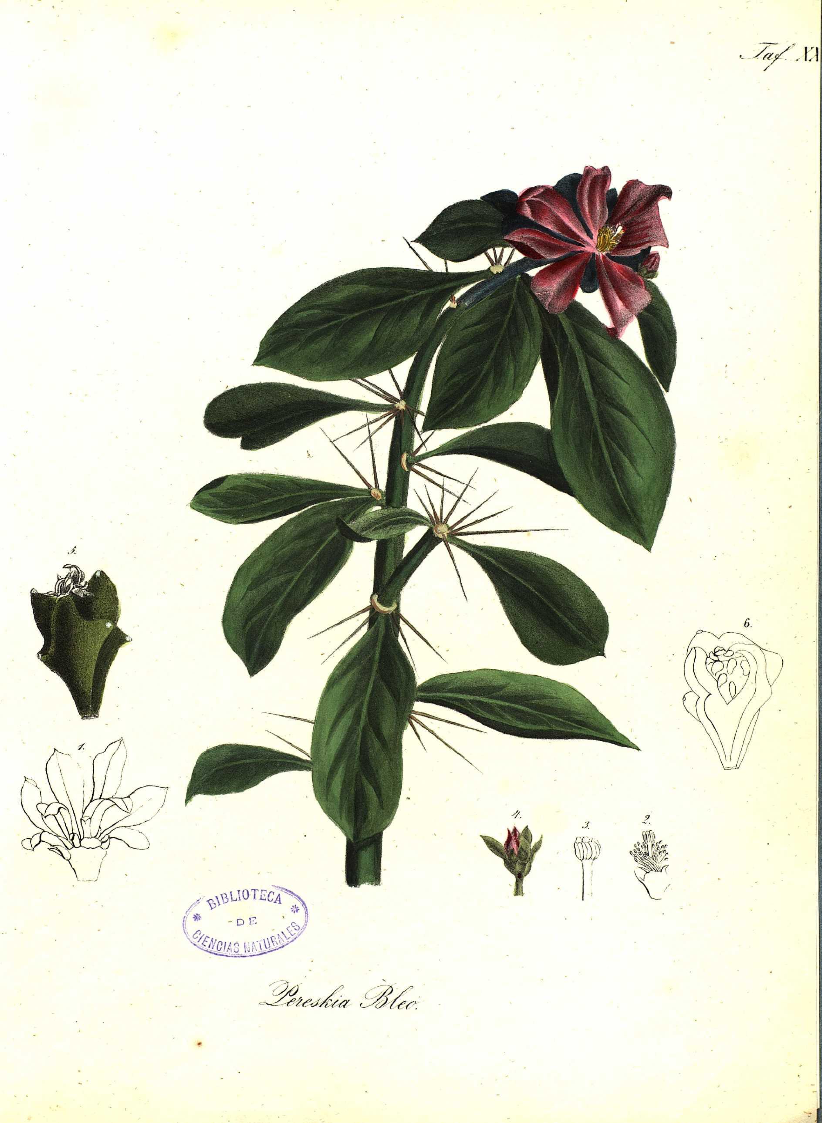 no full size  illustration available (3a)