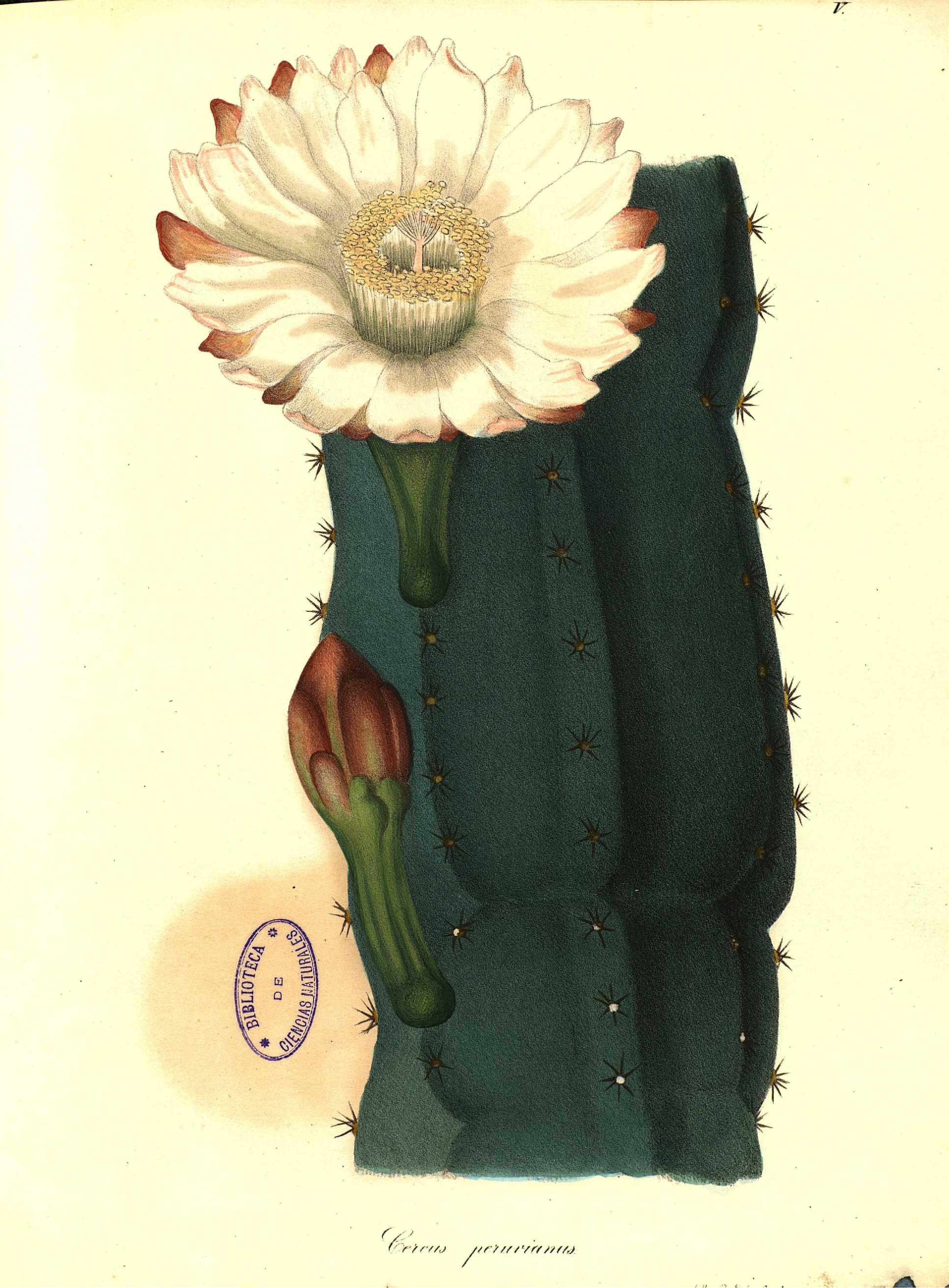 no full size  illustration available (3a)