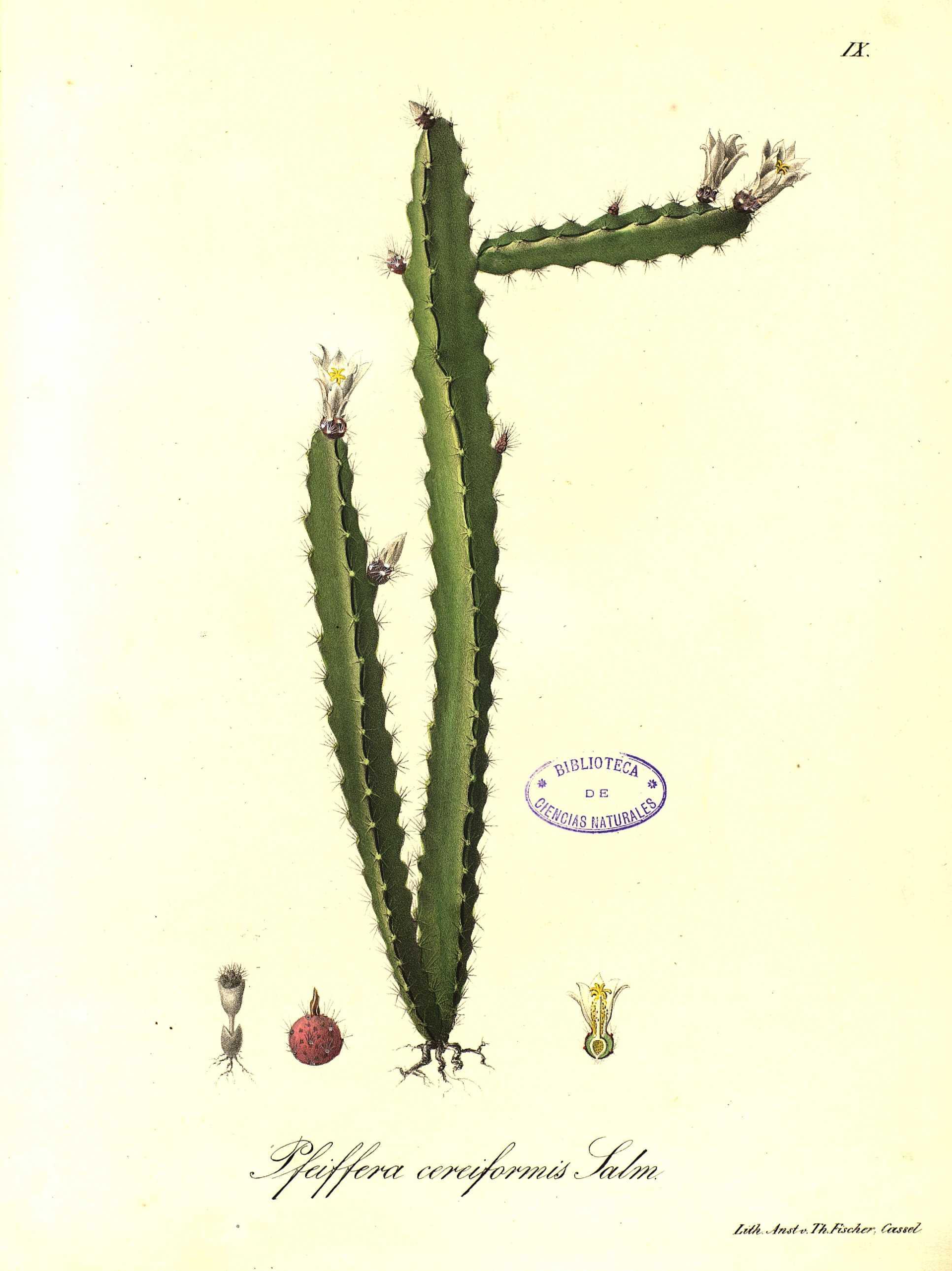 no full size  illustration available (3a)