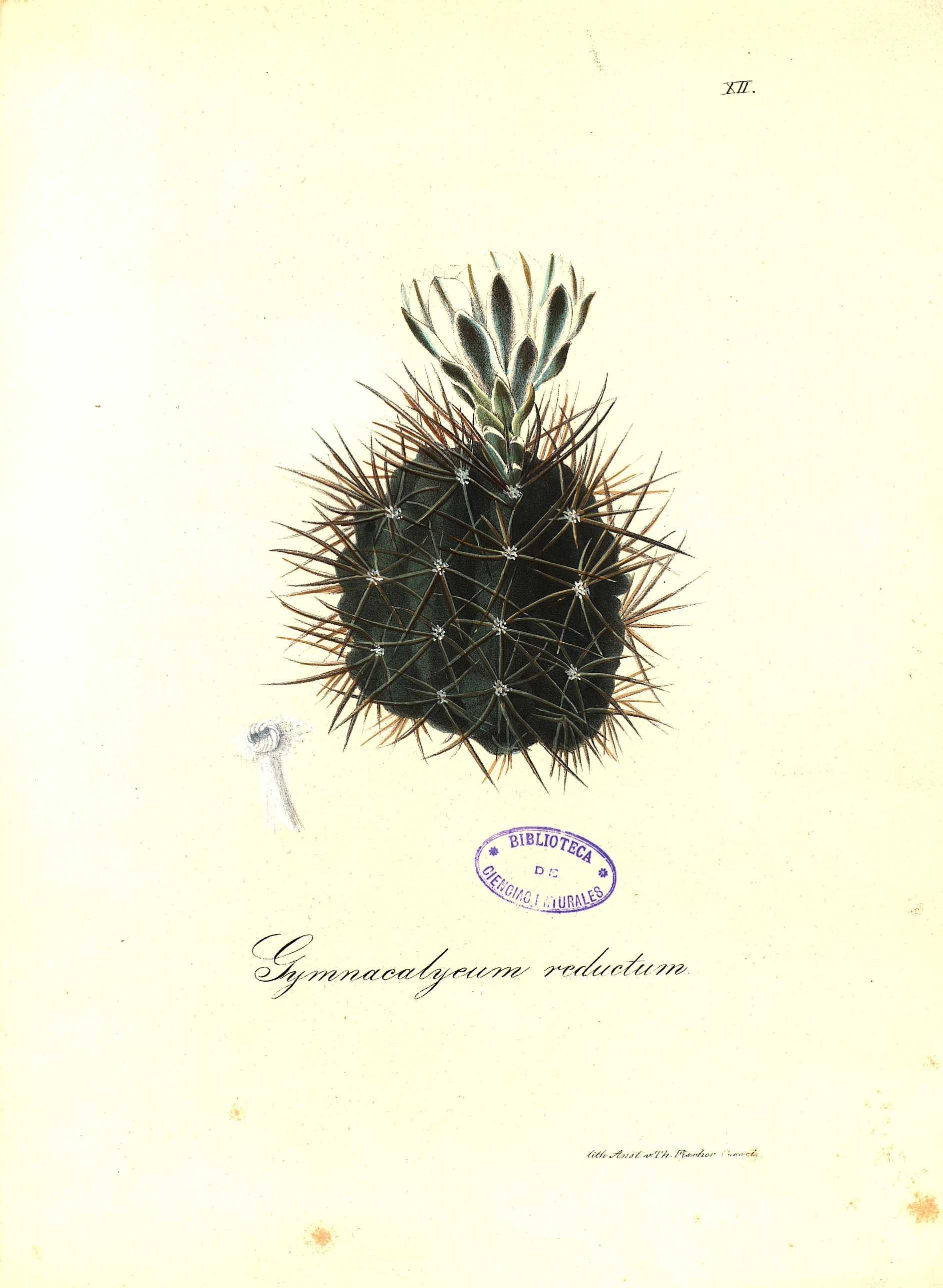 no full size  illustration available (3a)