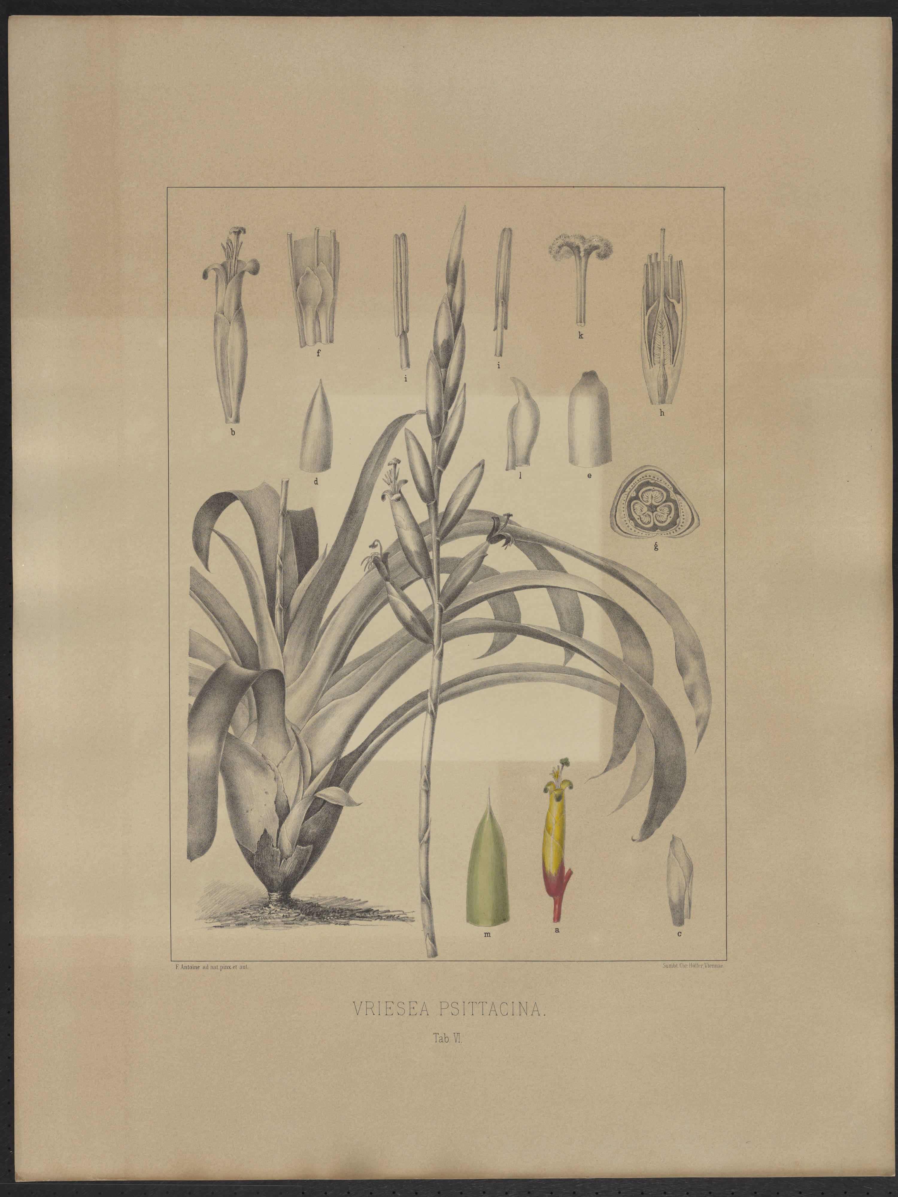 no full size  illustration available (3a)