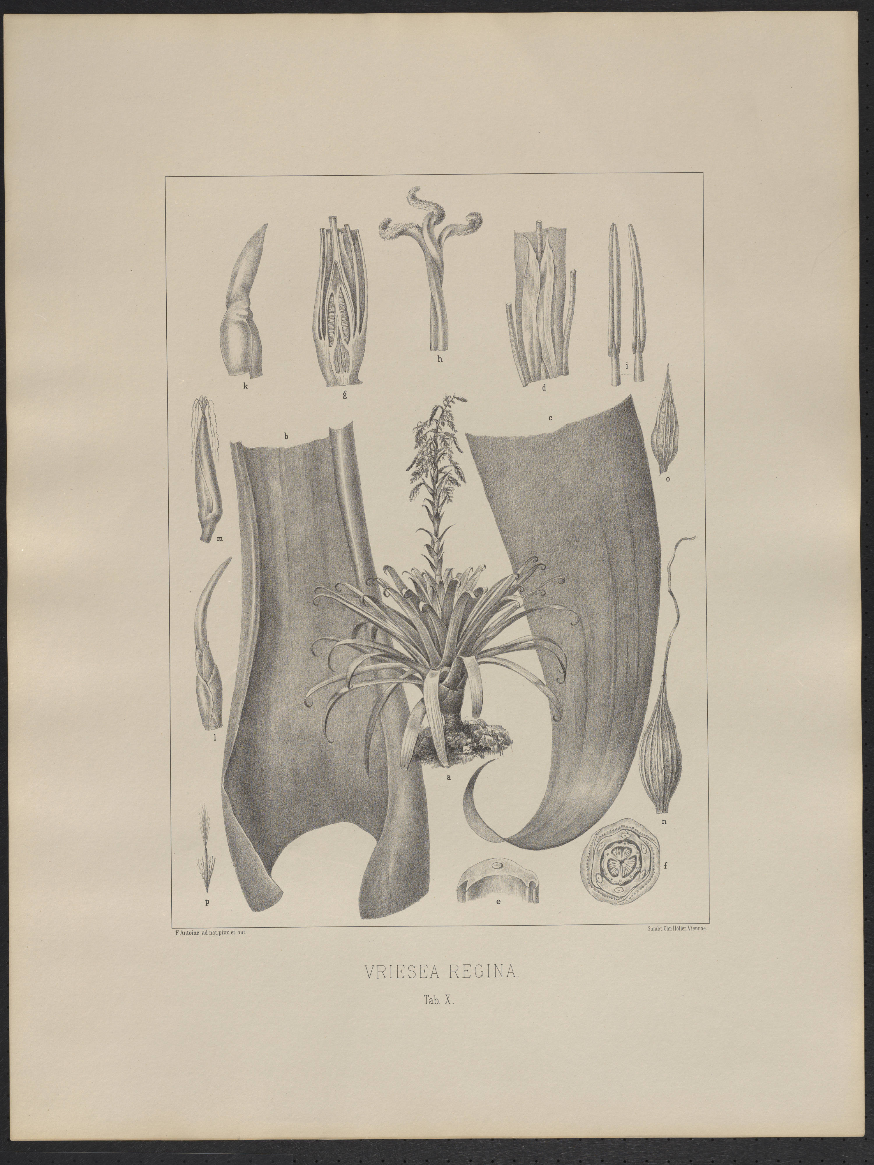 no full size  illustration available (3a)