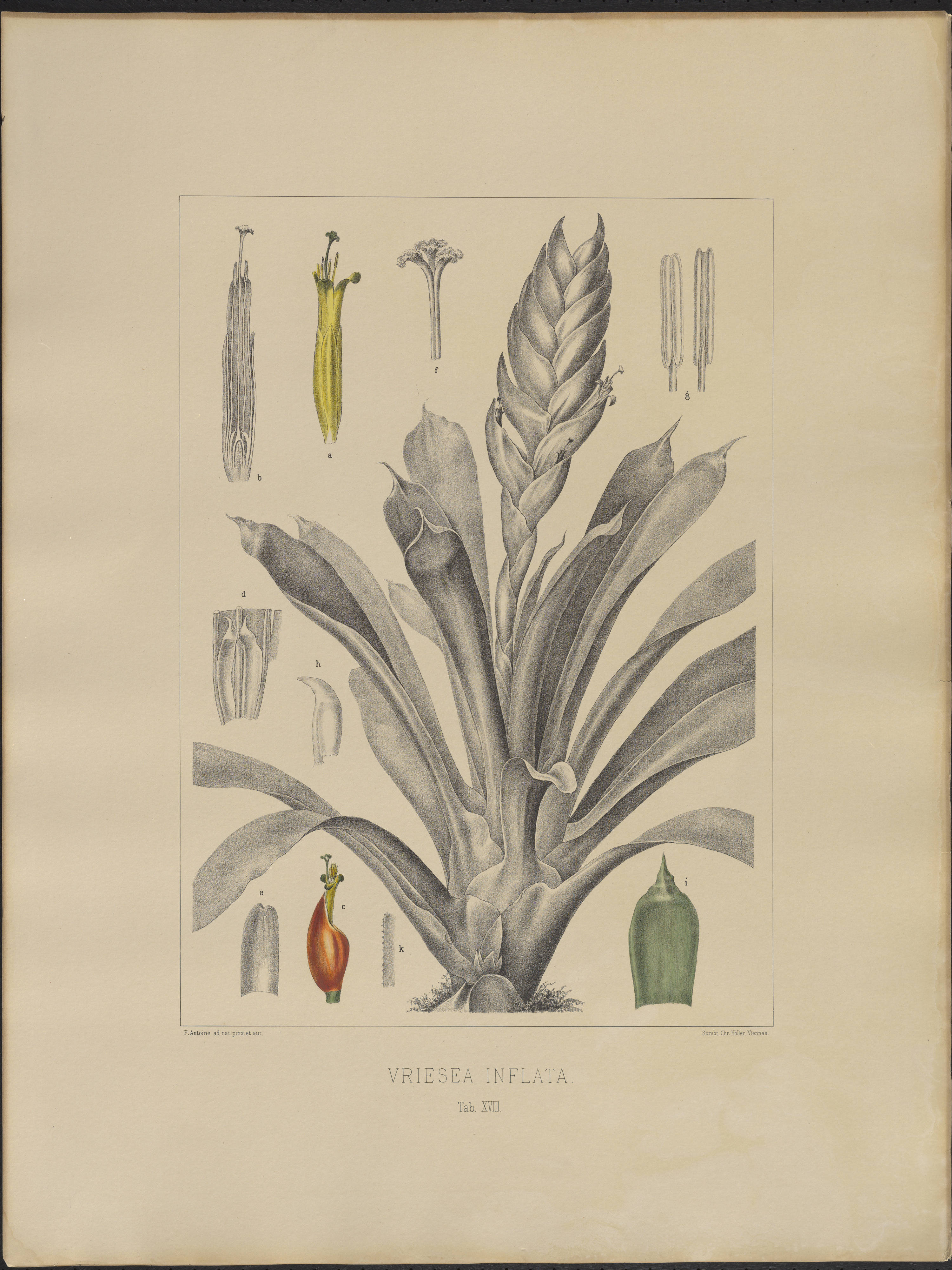 no full size  illustration available (3a)