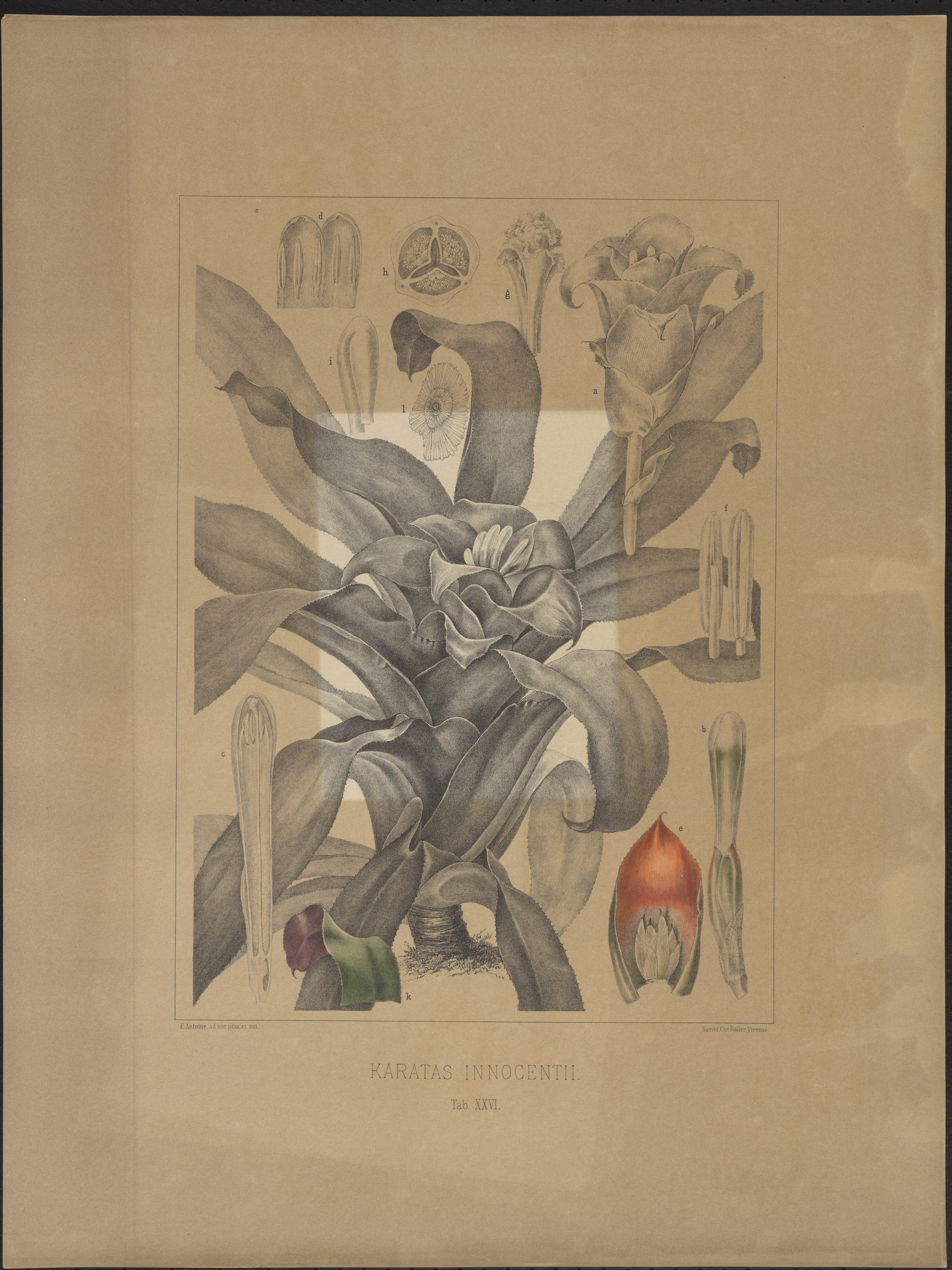 no full size  illustration available (3a)