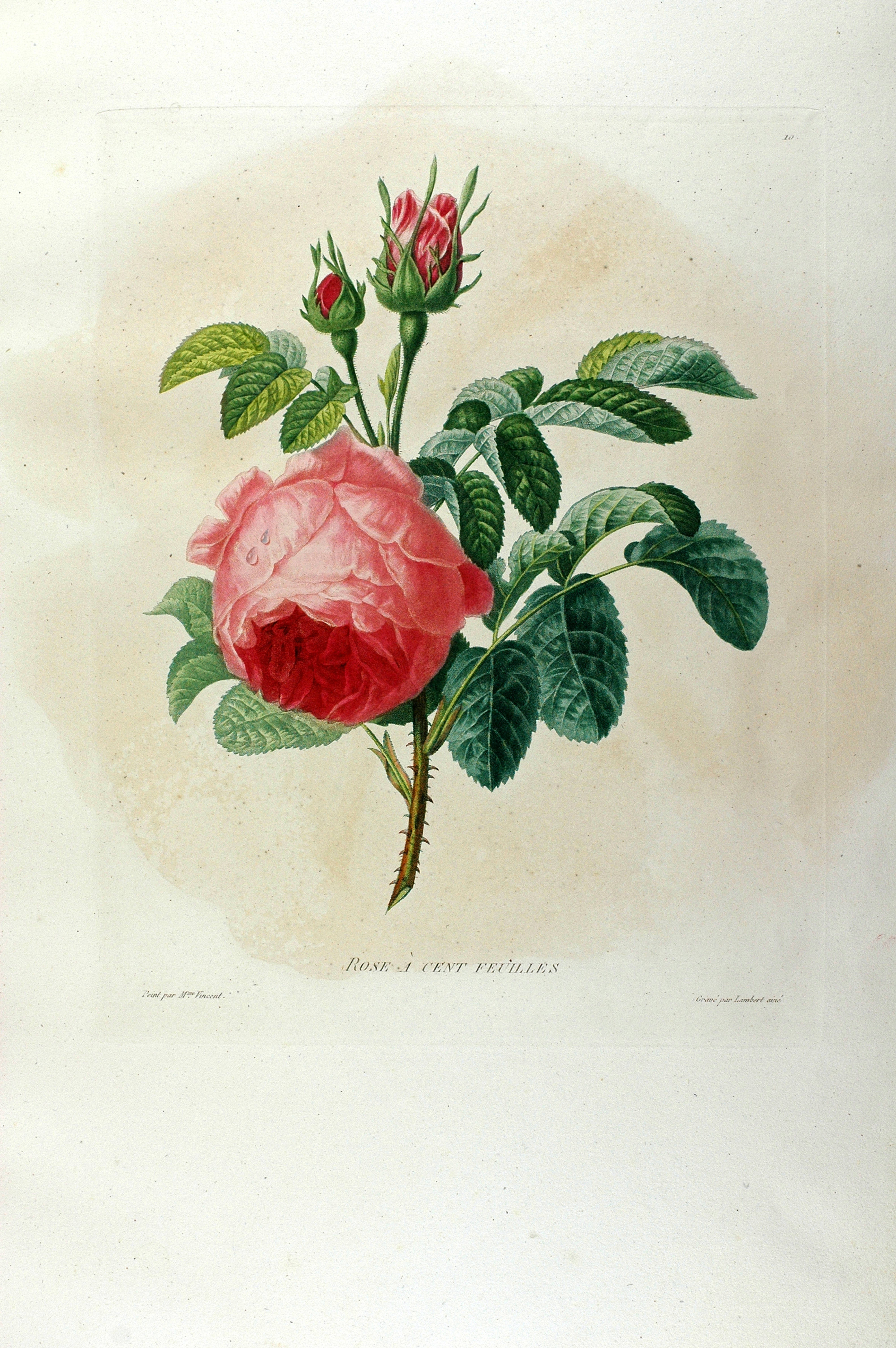 no full size  illustration available (3a)